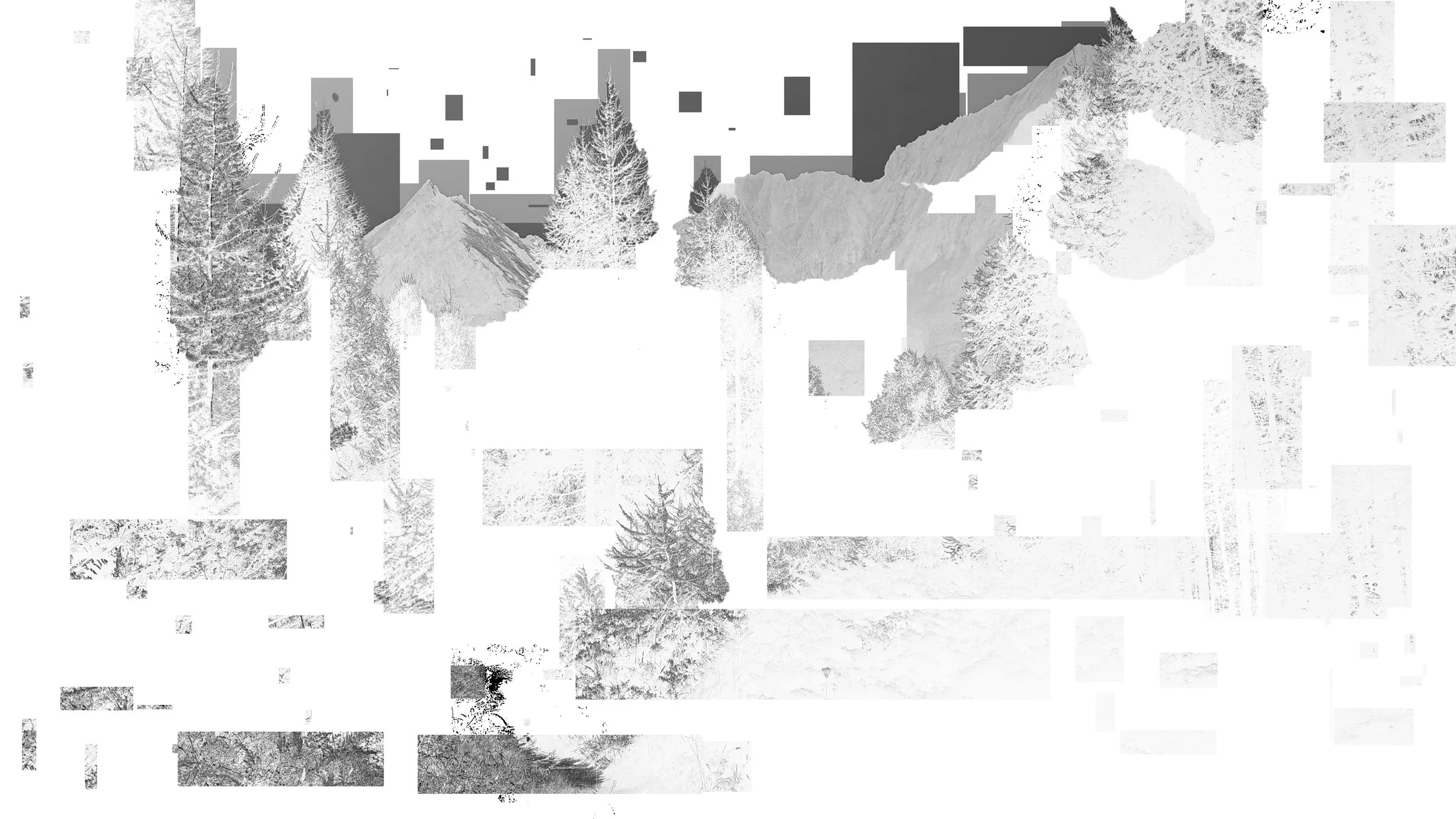 IMG20260904101146_invert8.jpg
