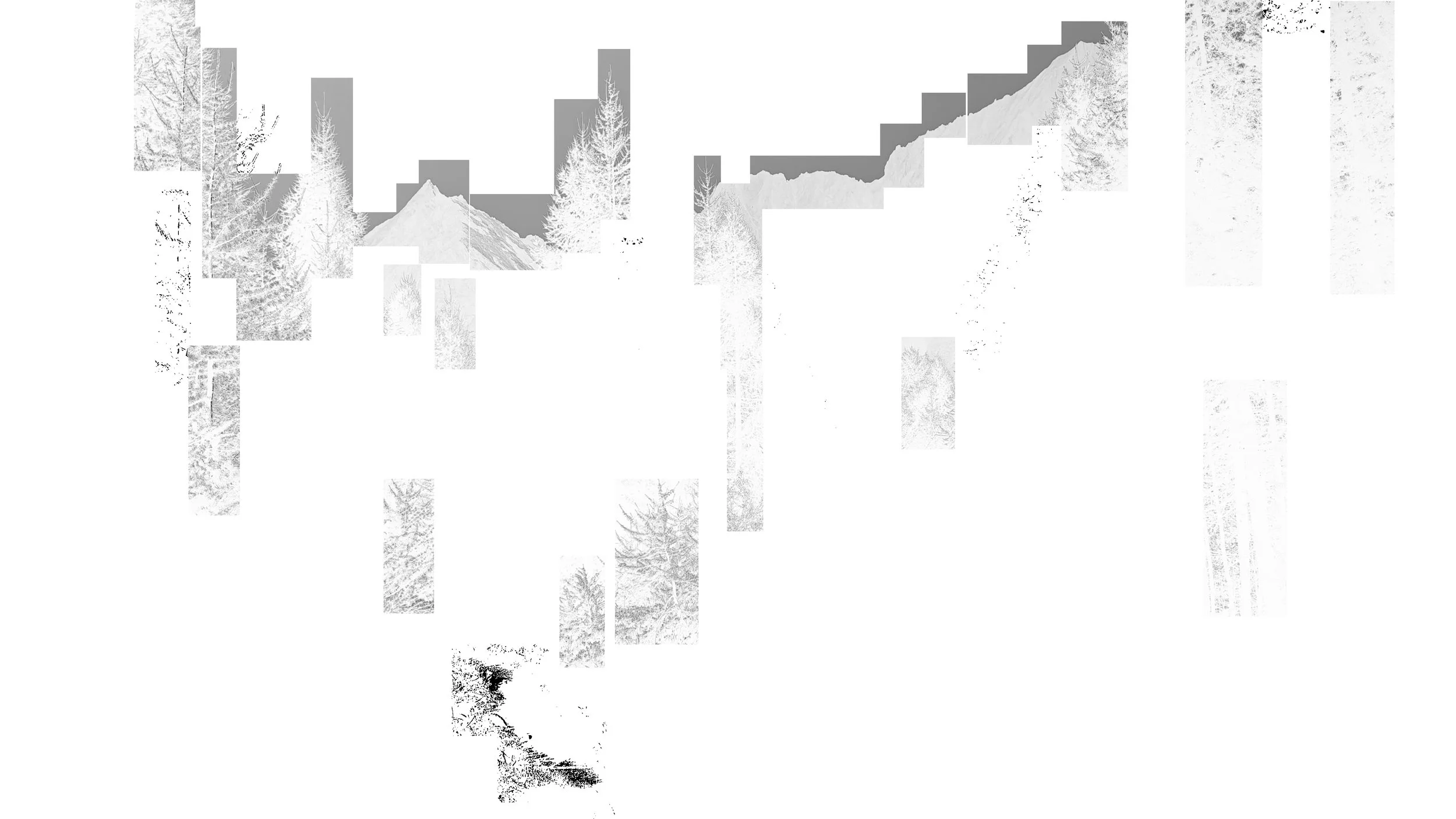 IMG20260904101146_invert3.jpg