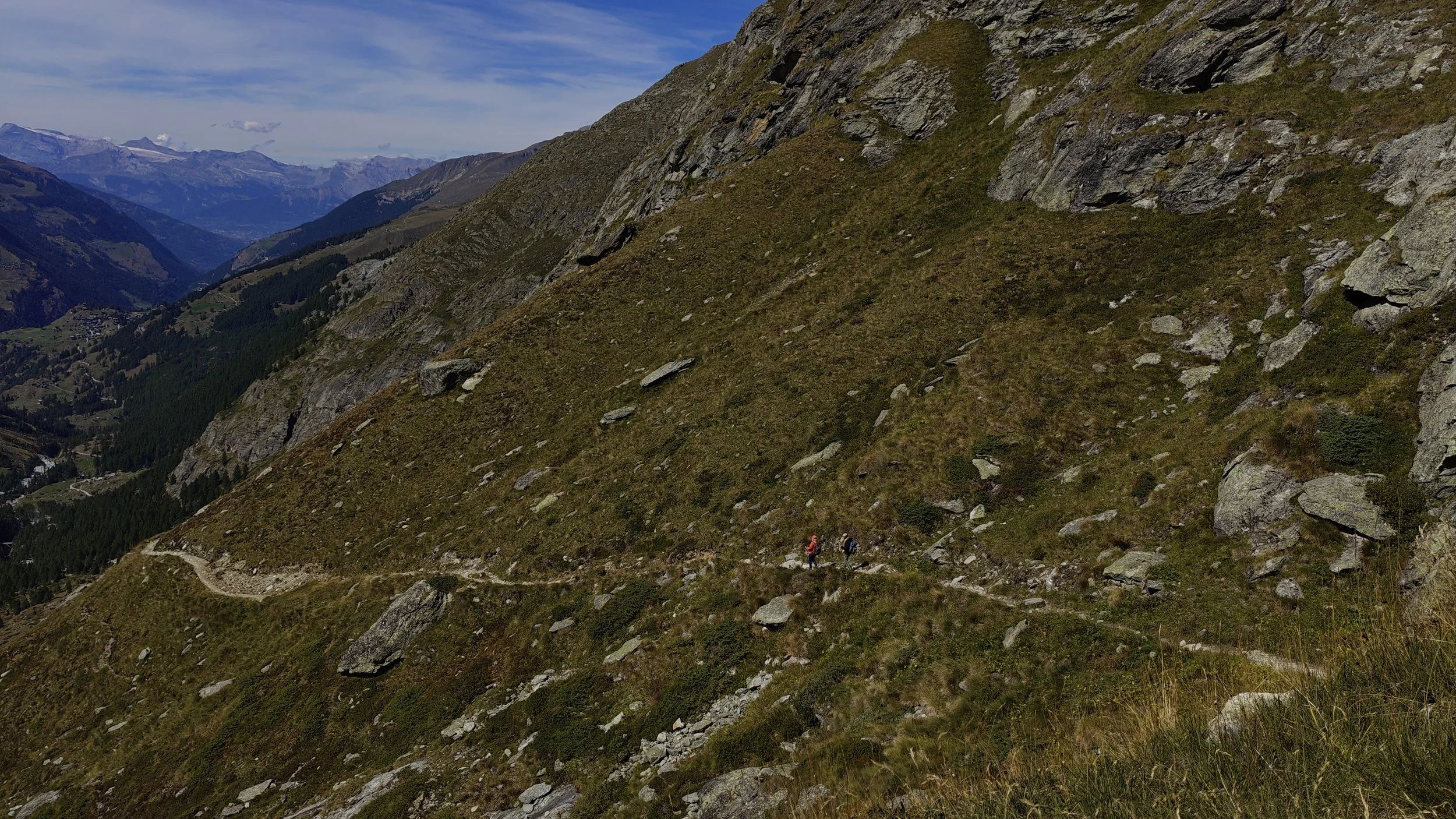 IMG20260901151255.jpg