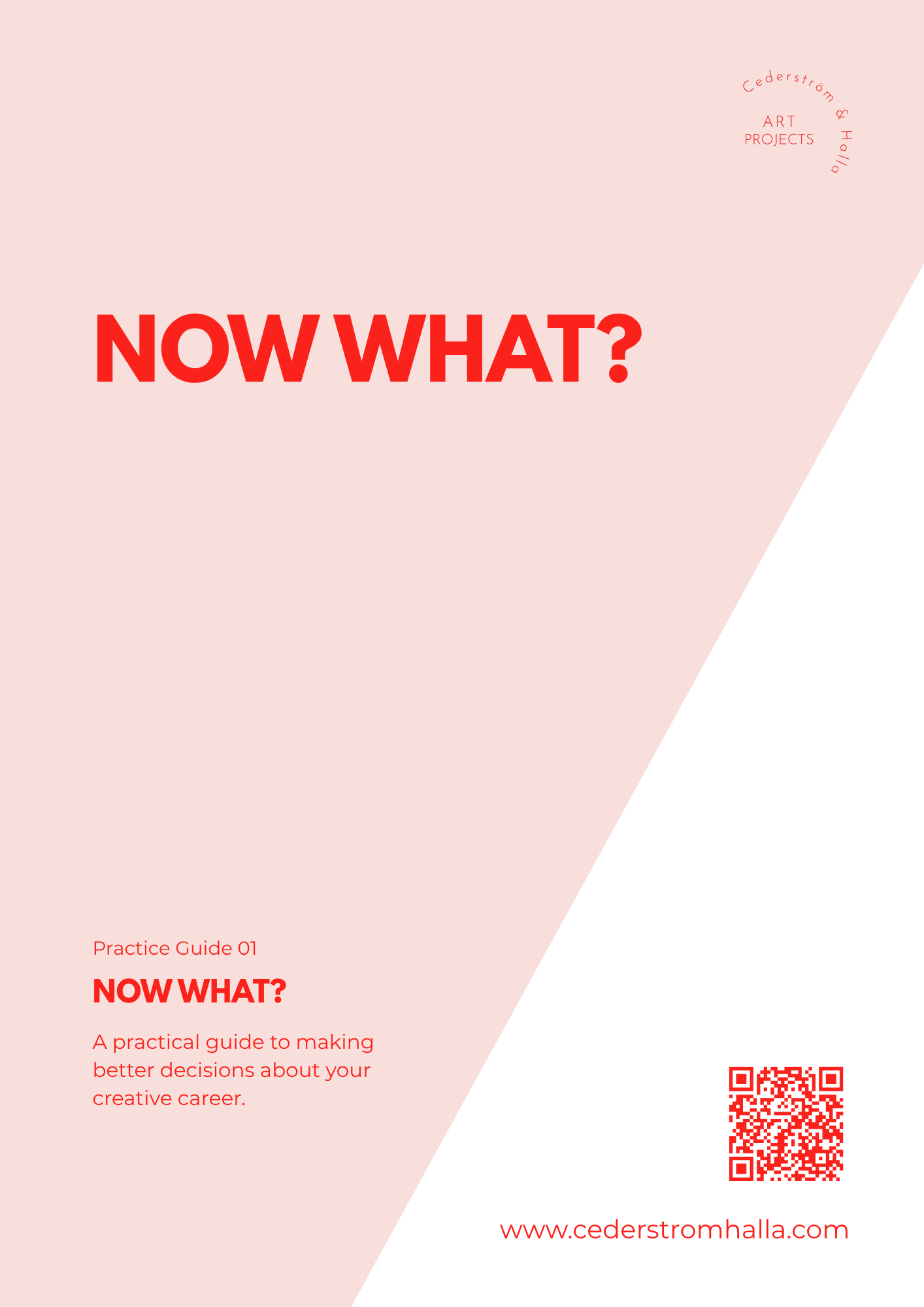 NOW WHAT? Practice guide 01