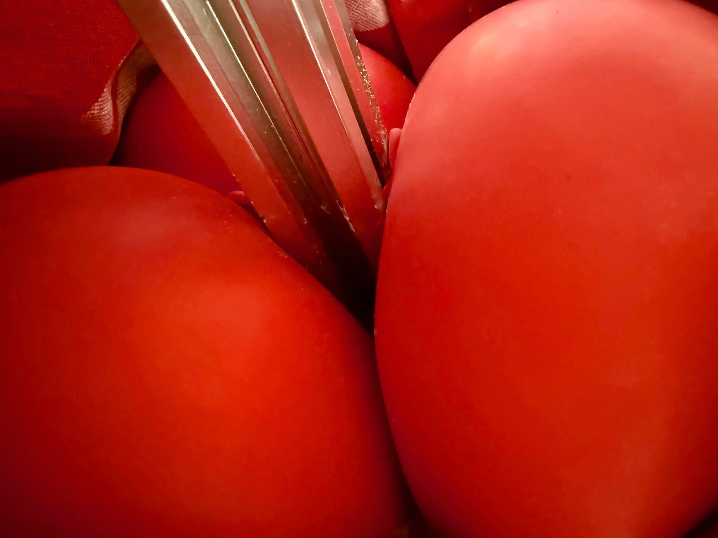 Red+Balloon+cast+Image.jpg