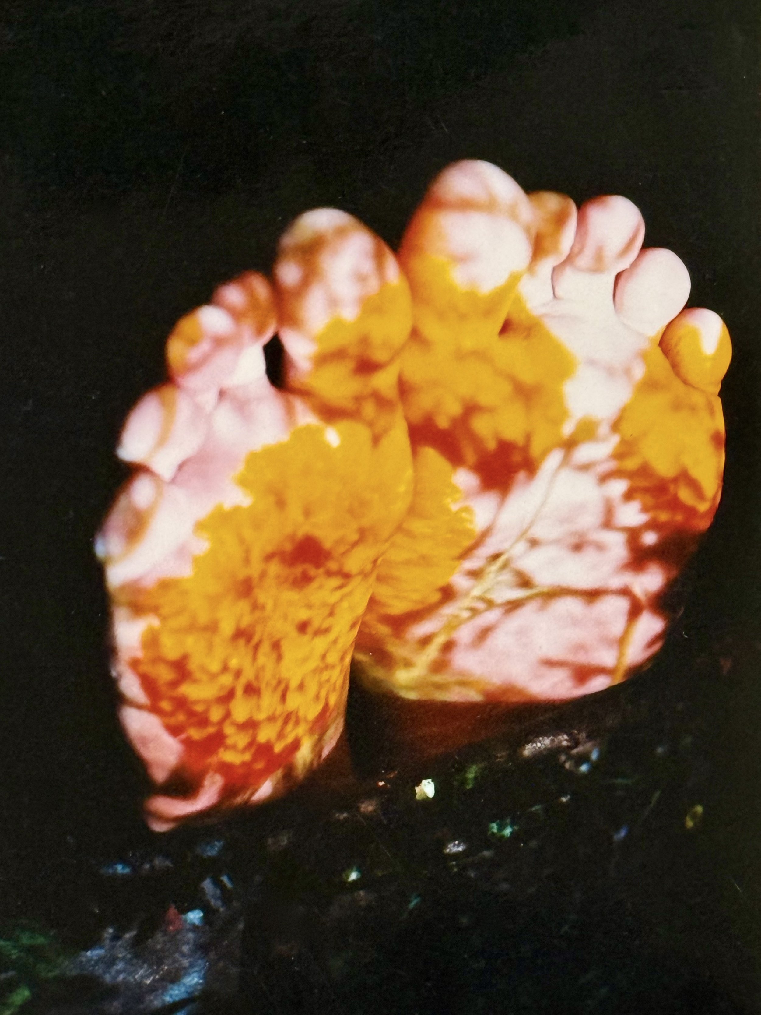 Feet image with flowers.jpg