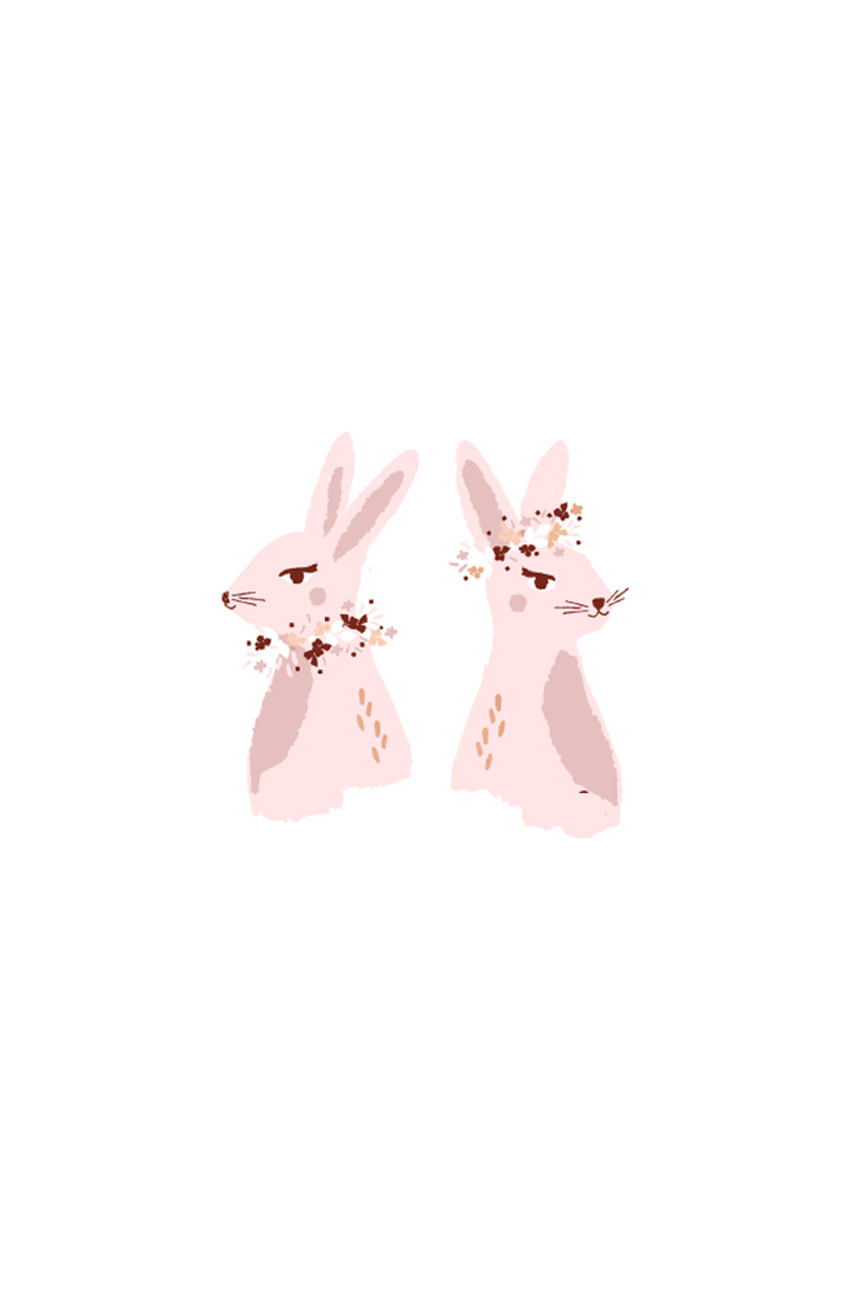 LAPINS.png