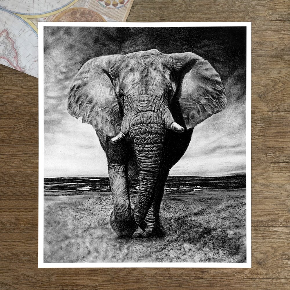ElephantAndMapA4Warped.jpg