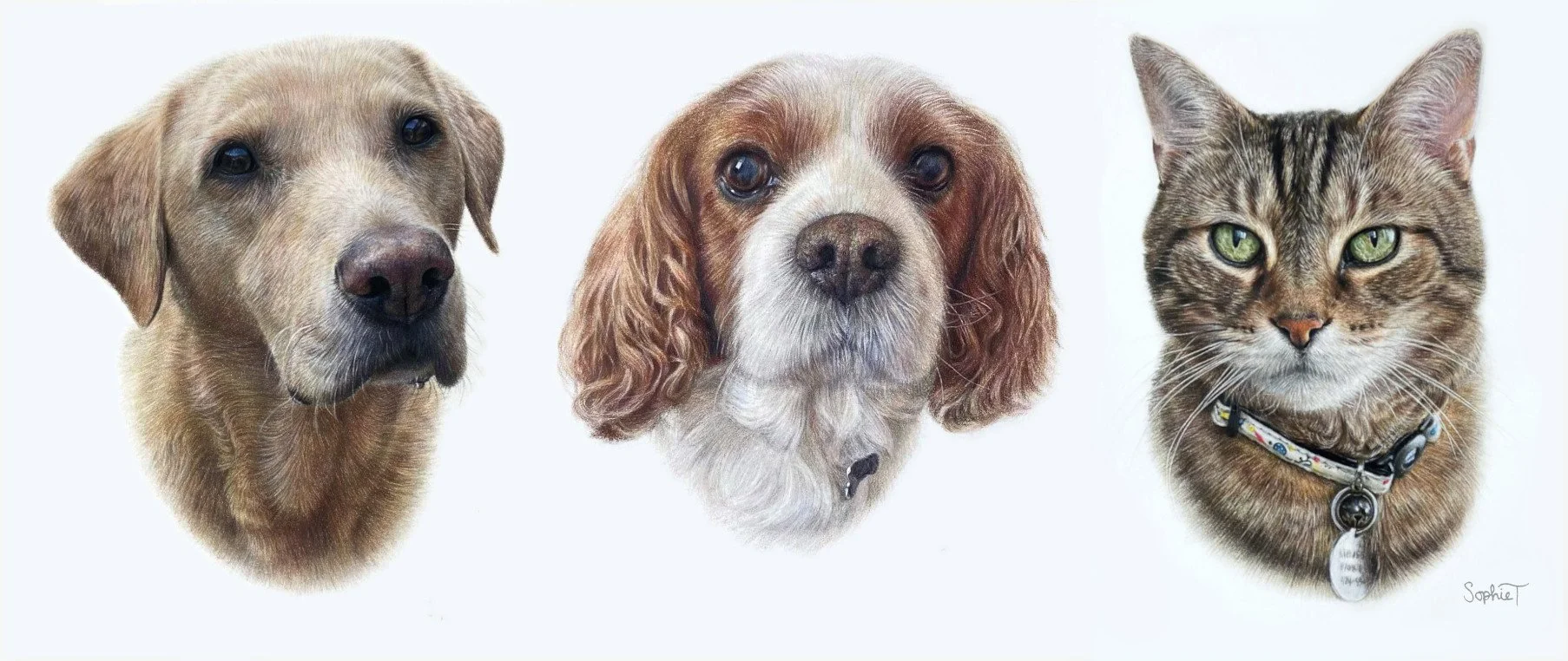 Prices for pet portrait commissions Sophie Ella Fine Art Pet