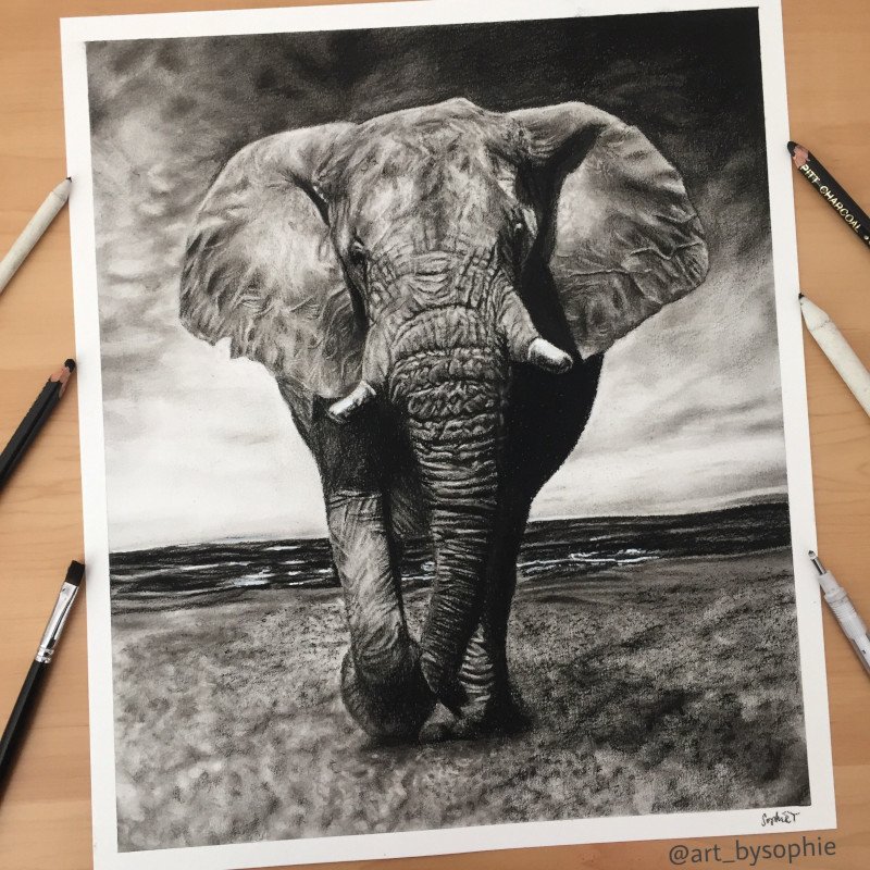 charcoal-elephant-800x800.jpeg