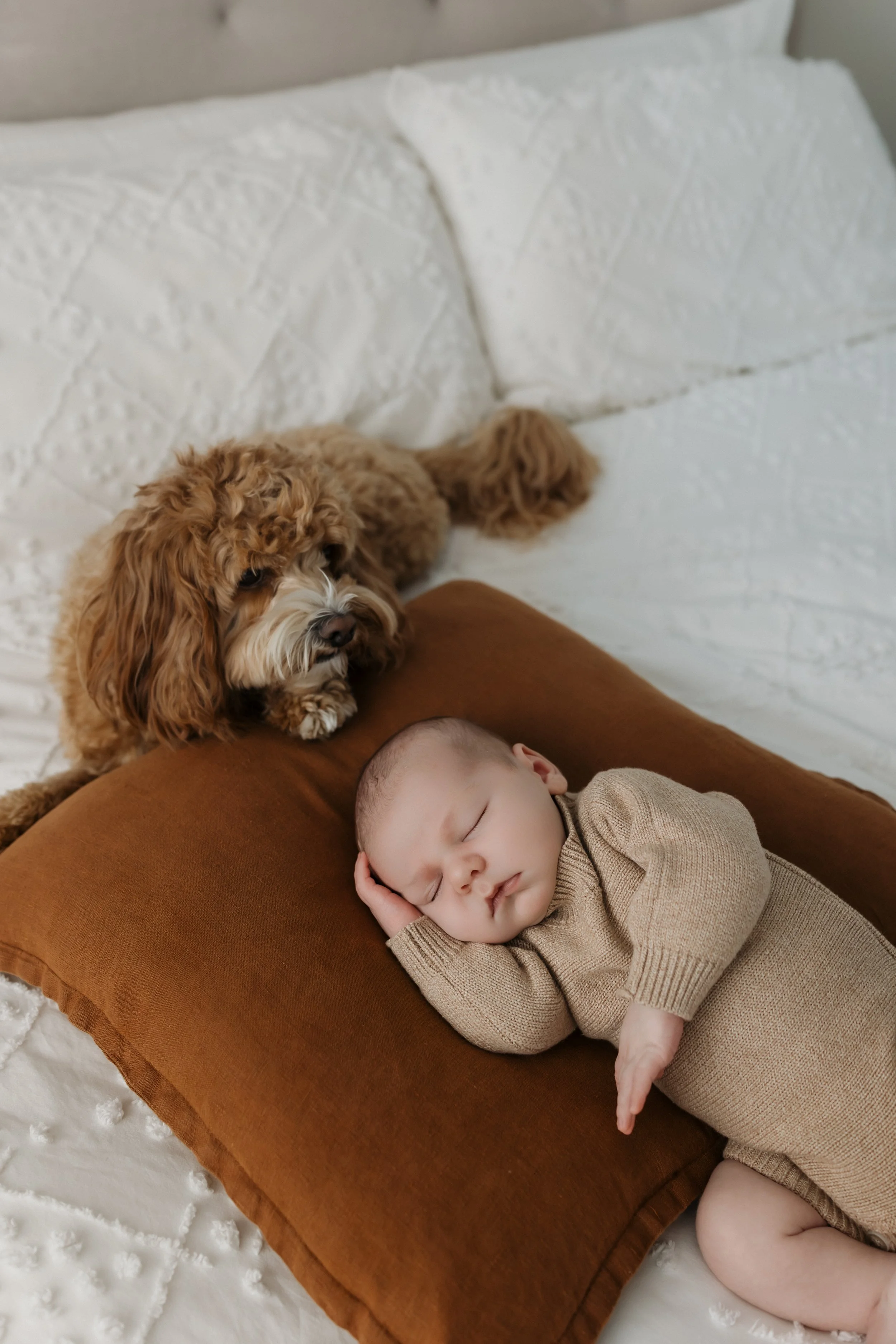 Allen Newborn-54.jpg