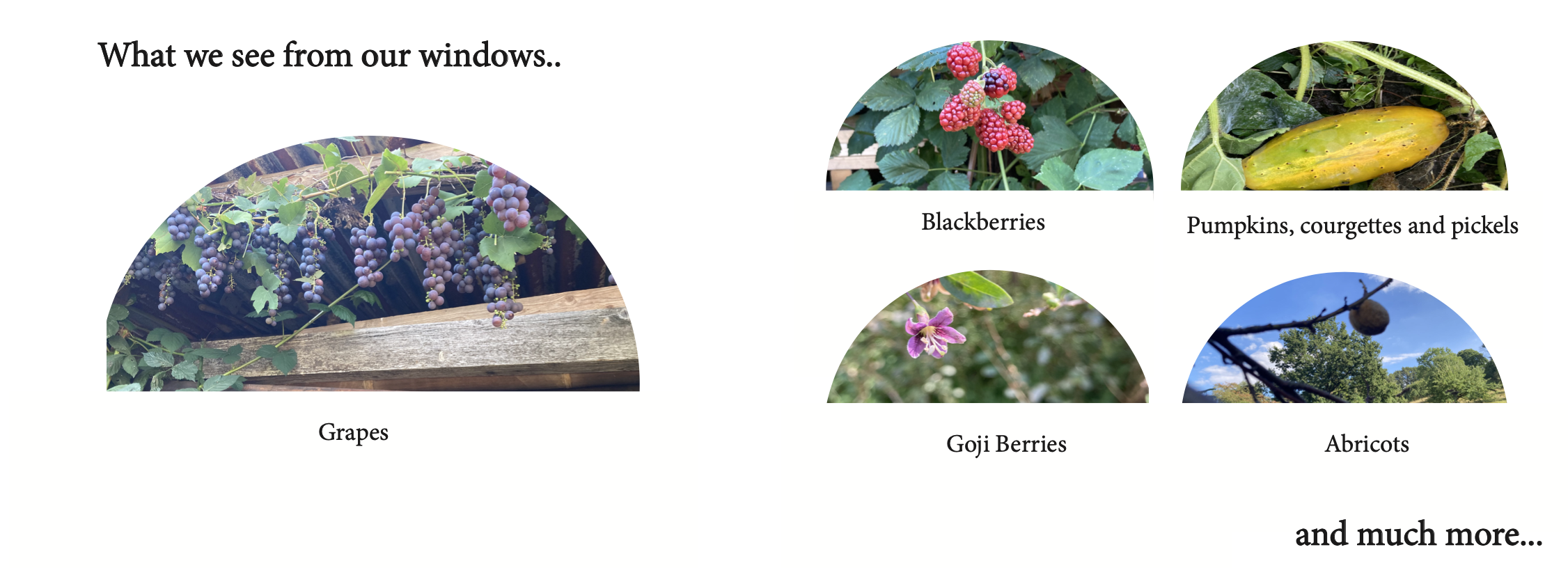 Schermafbeelding 2022-09-05 om 17.15.17.png