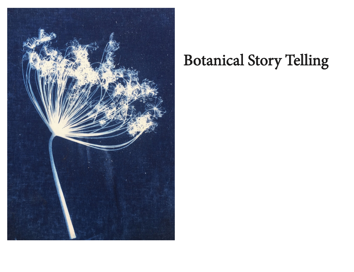 Botanical Story telling