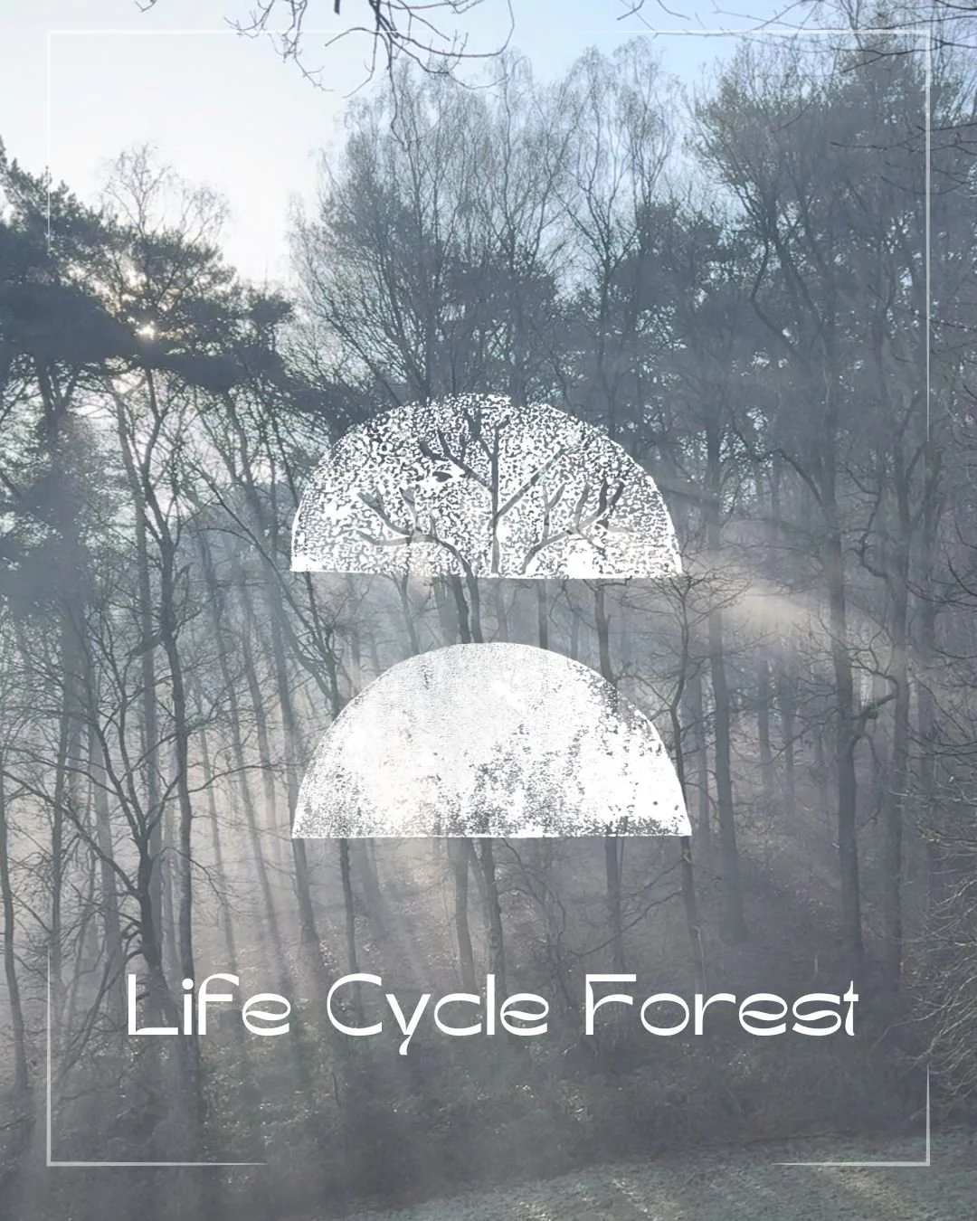 Life Cycle Forest 