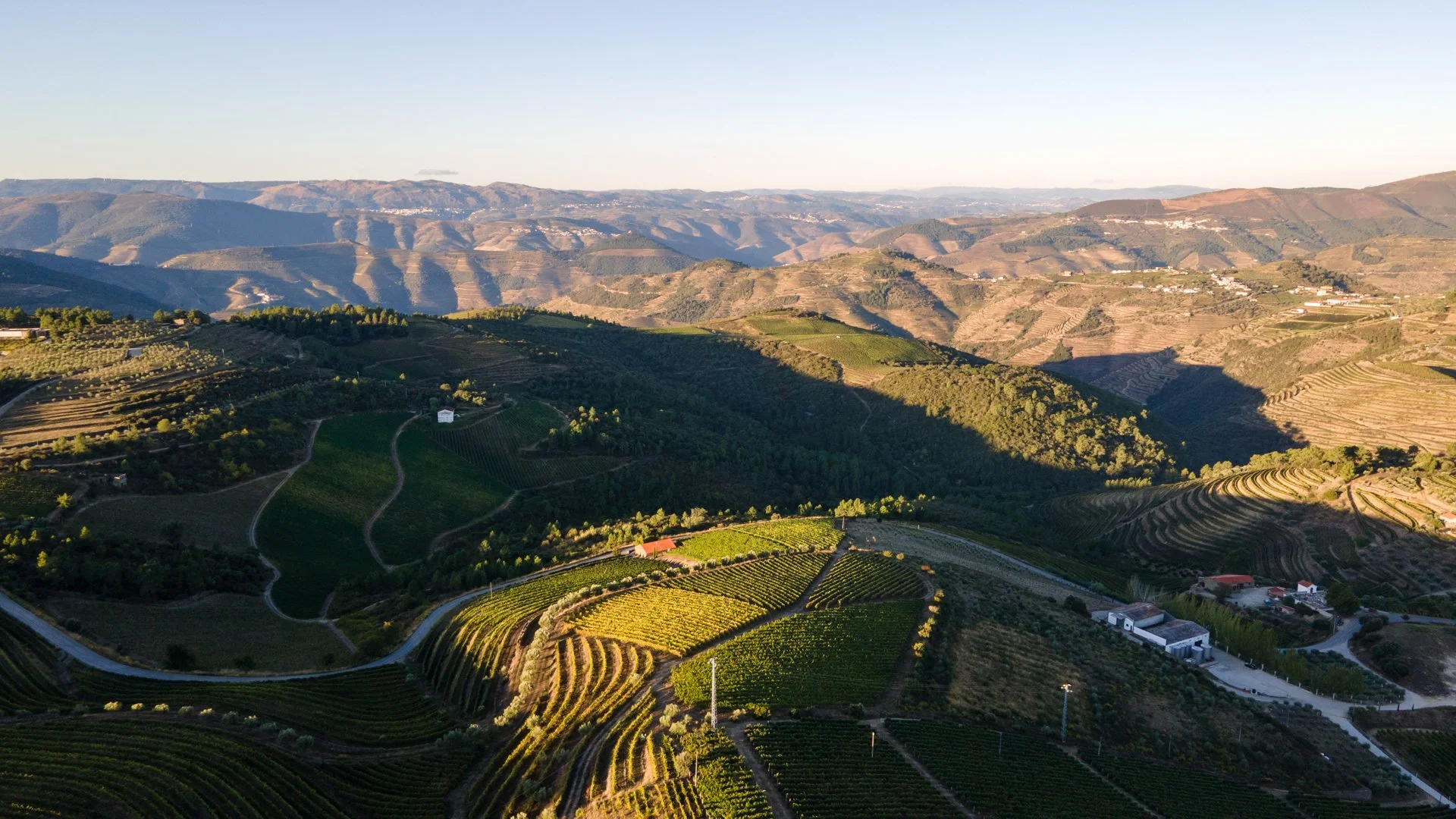 DJI_0175.jpg