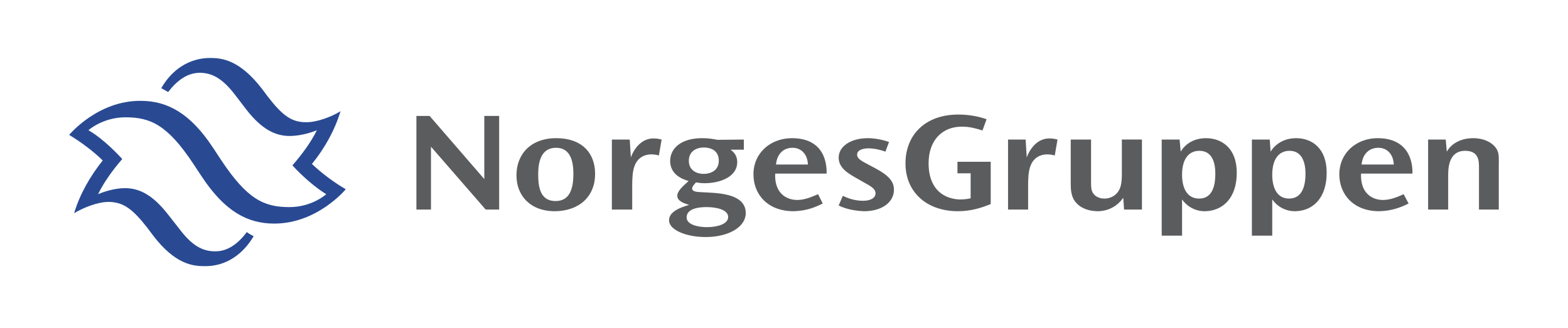 Norgesgruppen logo, https://www.norgesgruppen.no/