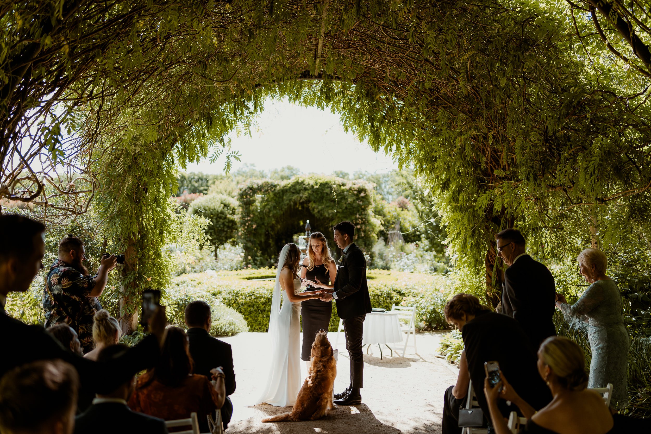 Alowyn Gardens Wedding-1004.jpg