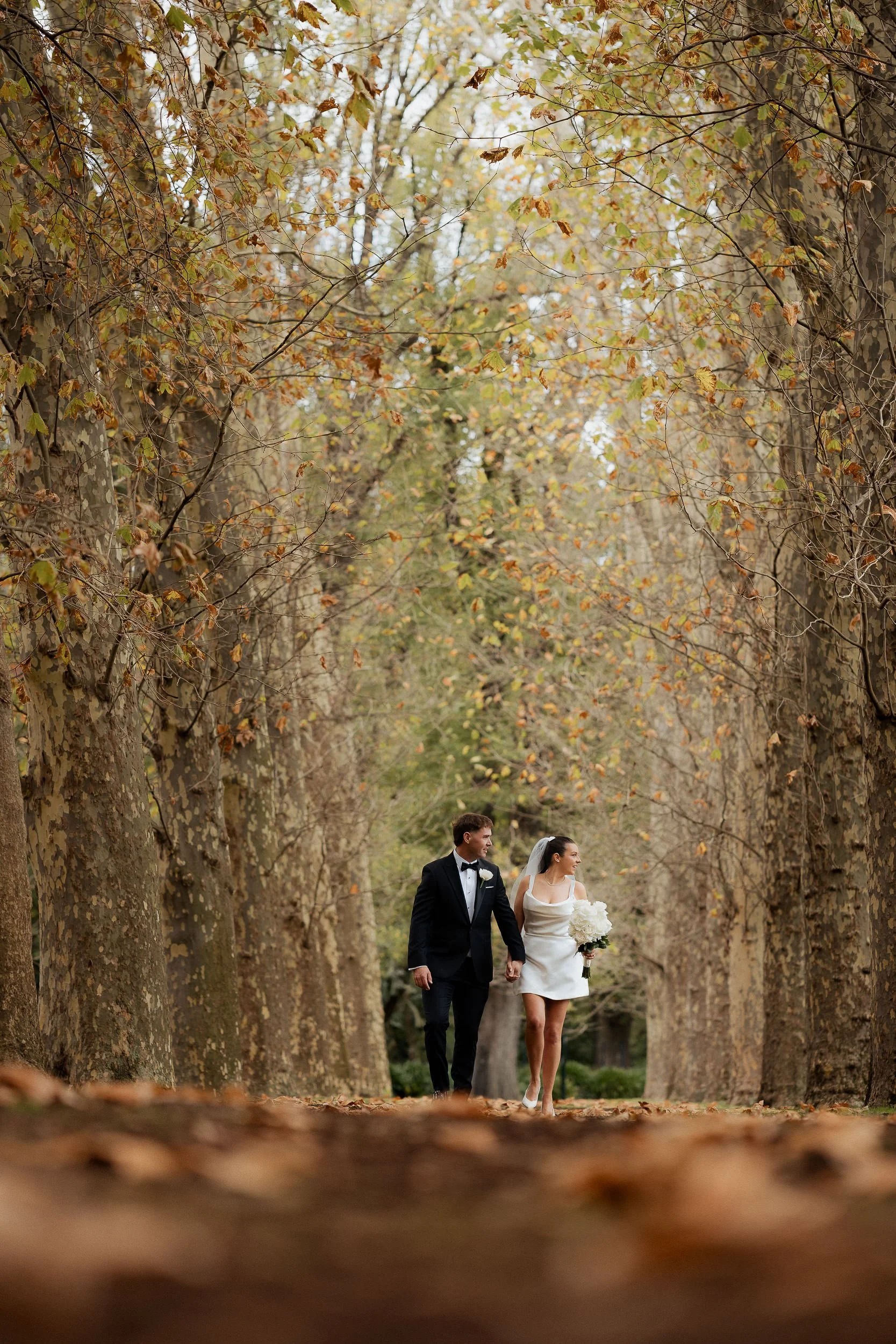 Vic_Marriage_Registry_Photographer-1041.jpg