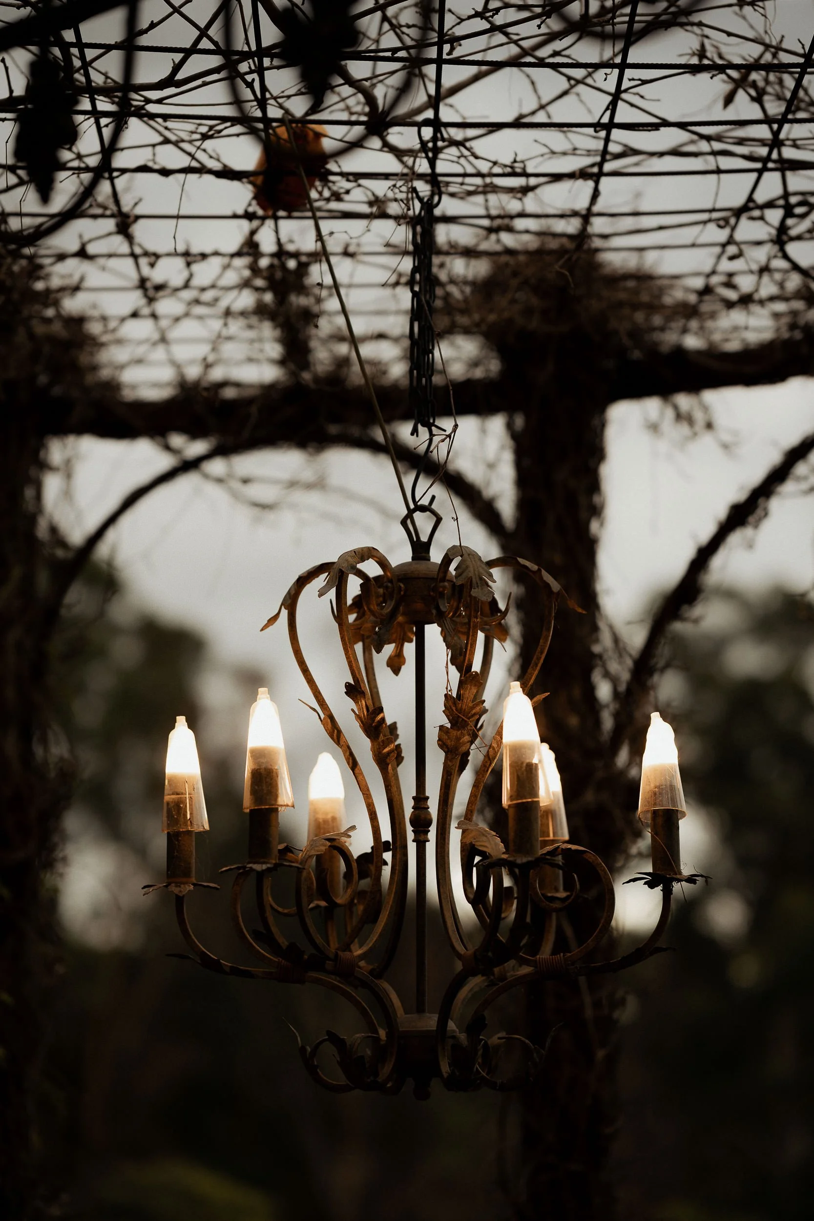 Mont_Du_Soleil_Elopement-1022.jpg