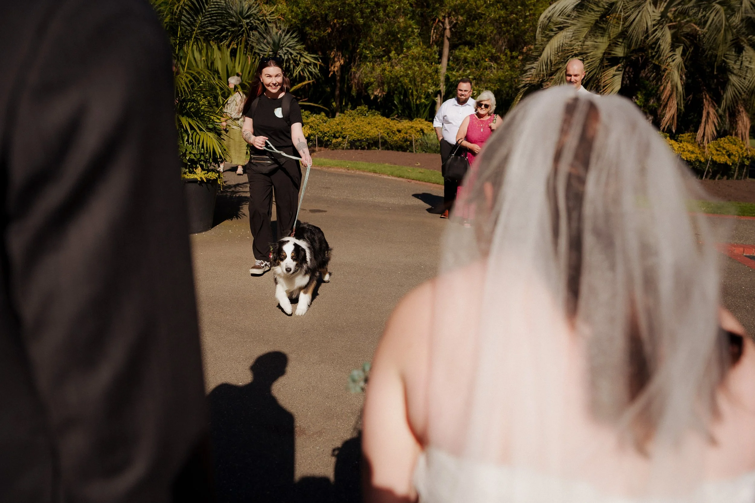 Grace_&_Max-Fitzroy_Gardens_Sneak_Peek-1011.jpg
