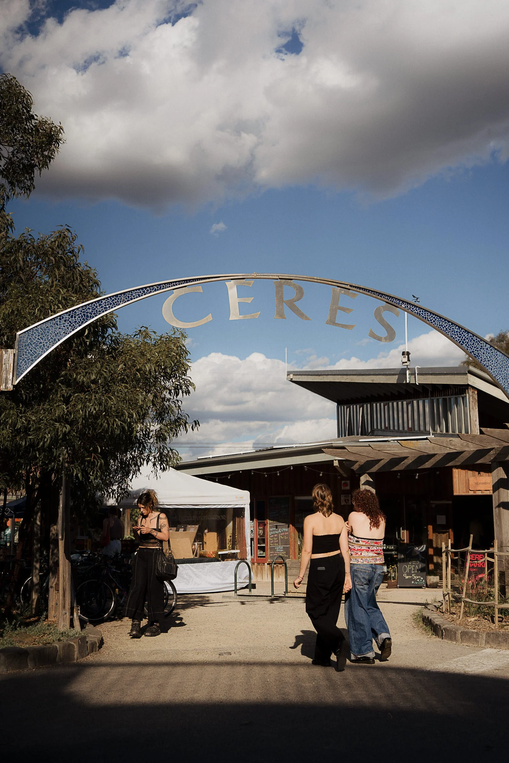 Renee_&_Harley_Sneak_Peek-1055.jpg