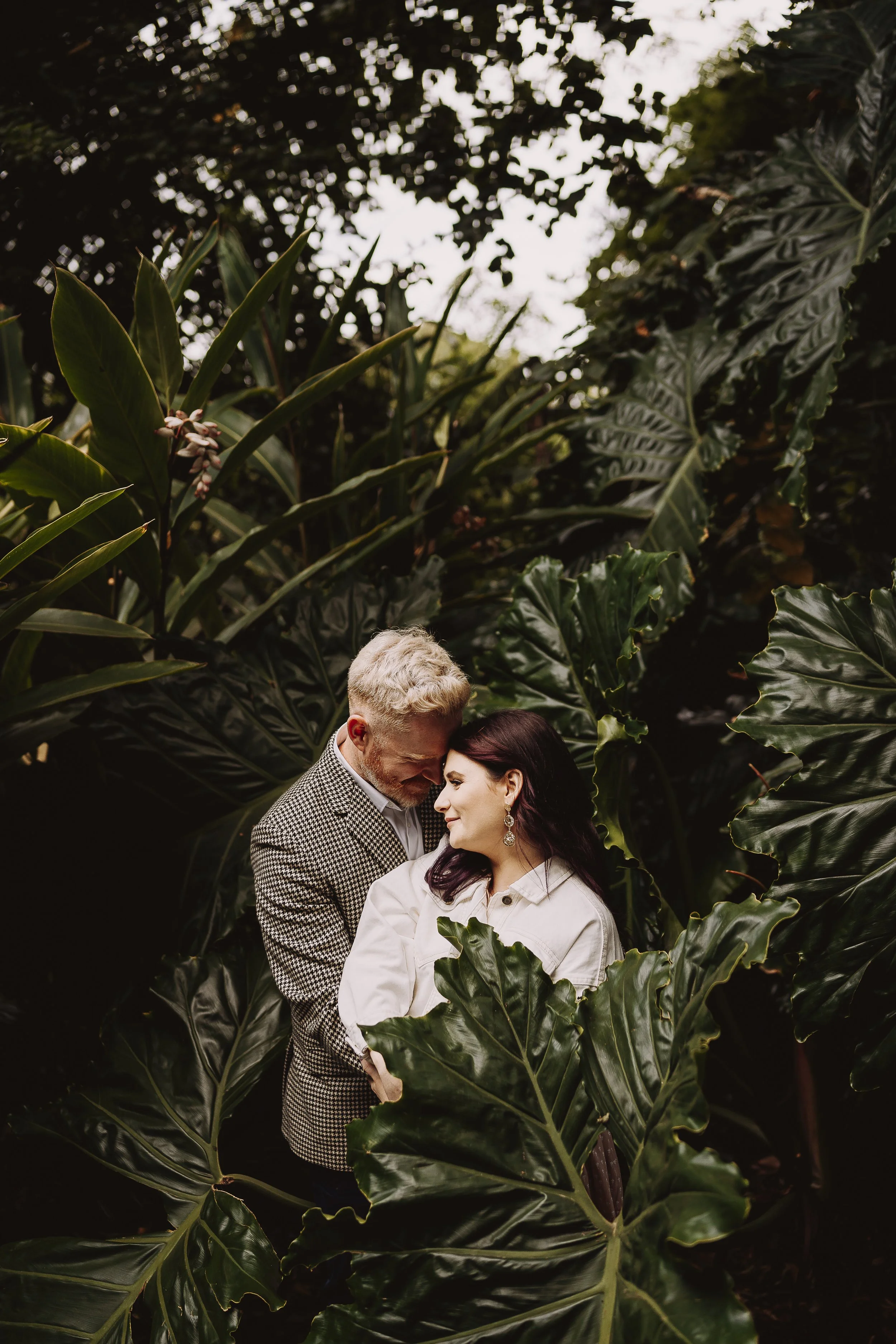 A couple embracing in a lush tropical garden in the Royal Botanical Gardens with large green leaves surrounding them, their foreheads touching and eyes closed, creating an intimate moment.