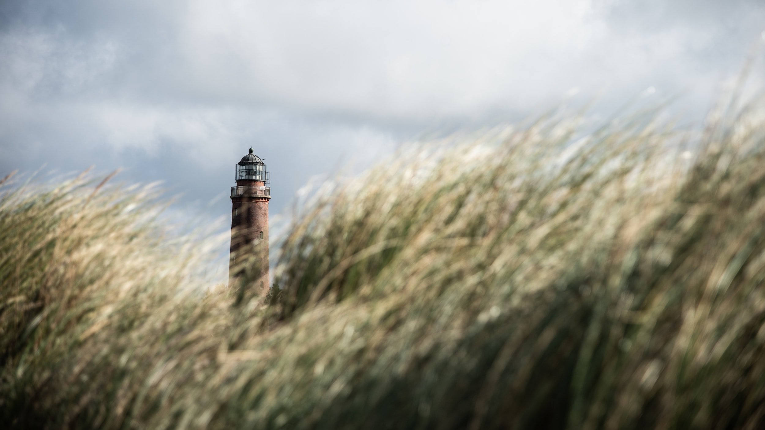 unsplash-image-_bpwpojt3_M.jpg