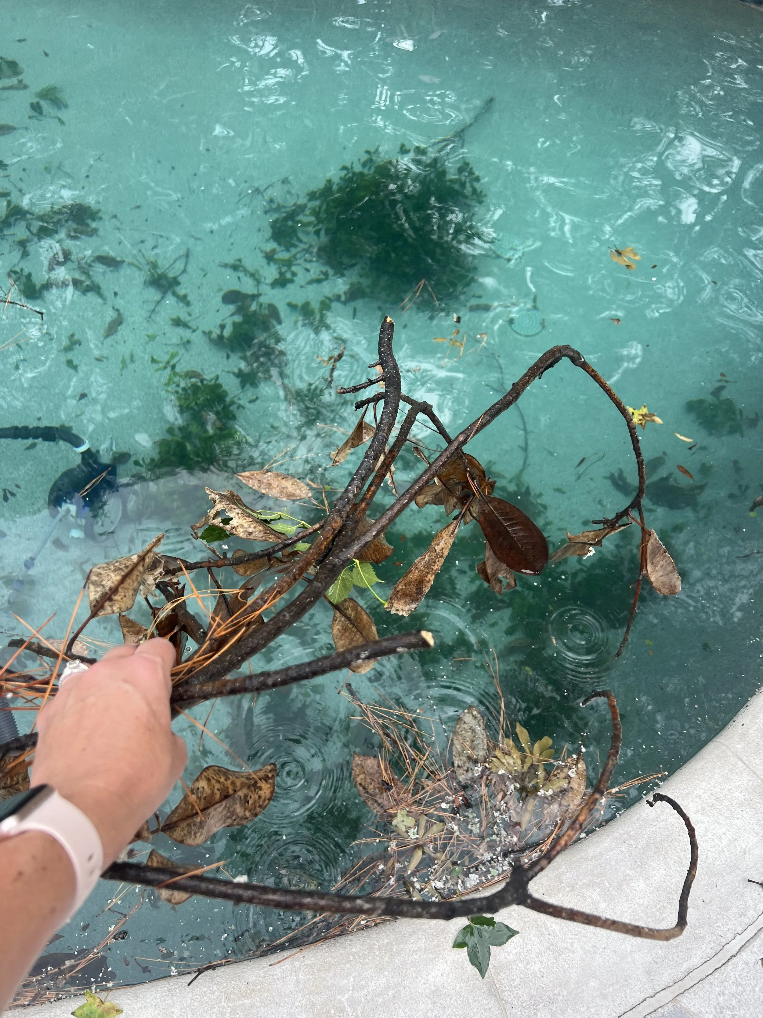 Fall Pool Maintenance Tips