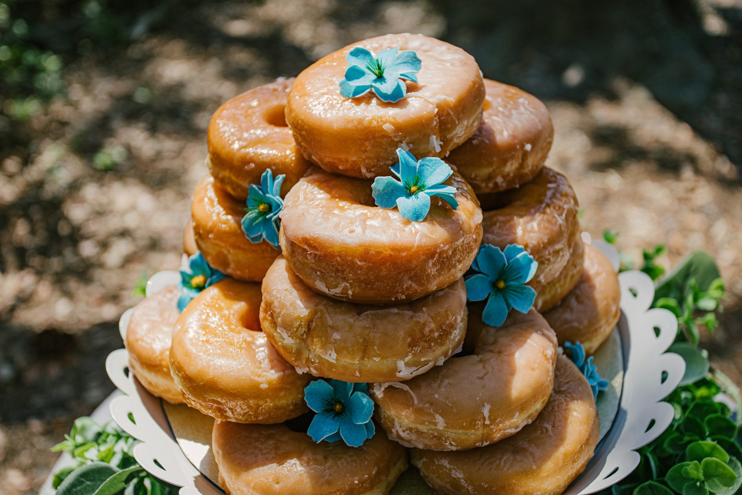 Sugared Doughnuts