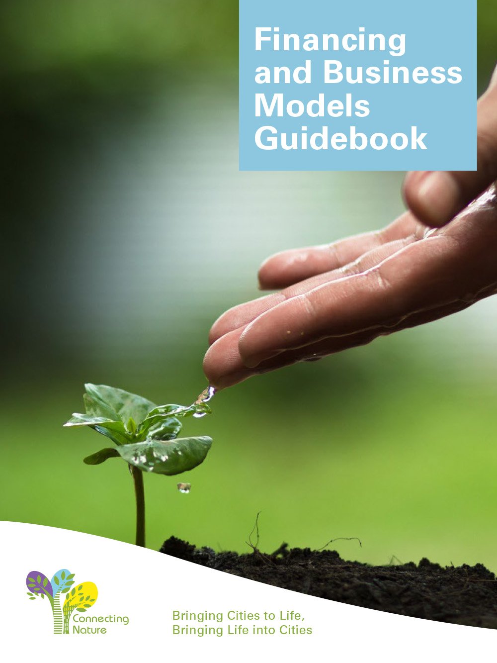 Financing and Business Models Guidebook-1.jpg