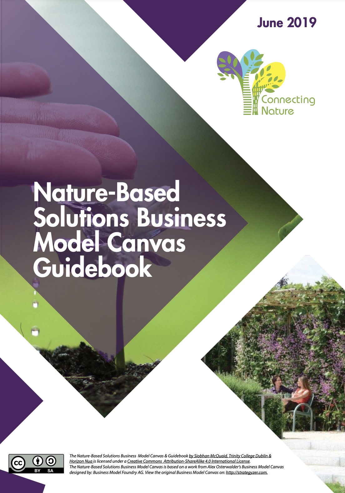 Nature-Based Solutions Business Model Canvas Guidebook.png