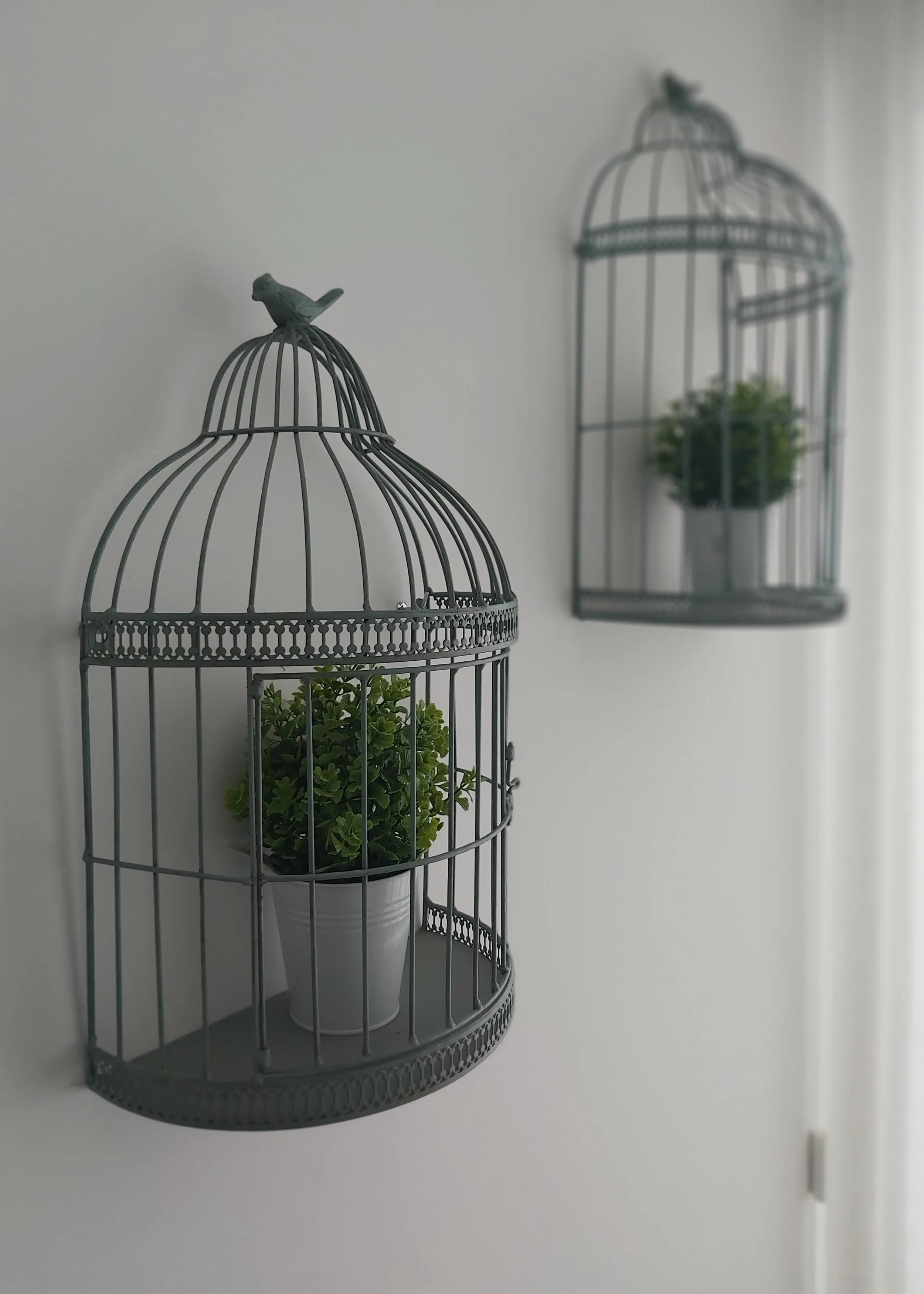 Decoração de Apartamento, Quarteira, Algarve.
Pormenor de Decoração de parede com Gaiolas para exposição de plantas.