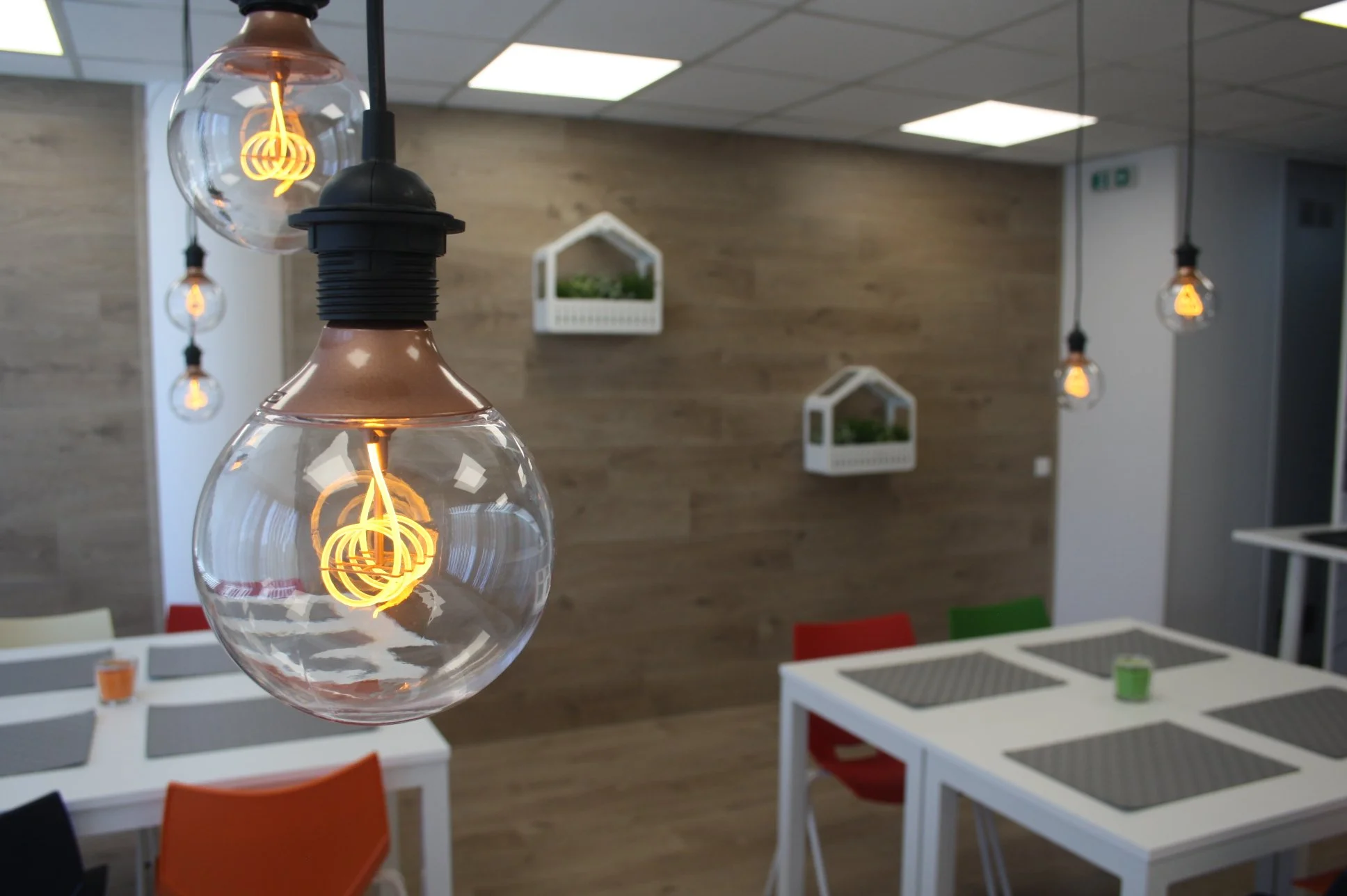 Lâmpadas penduradas com filamentos visíveis em um ambiente interno decorado com paredes de madeira, mesas brancas com assentos coloridos, e prateleiras com plantas