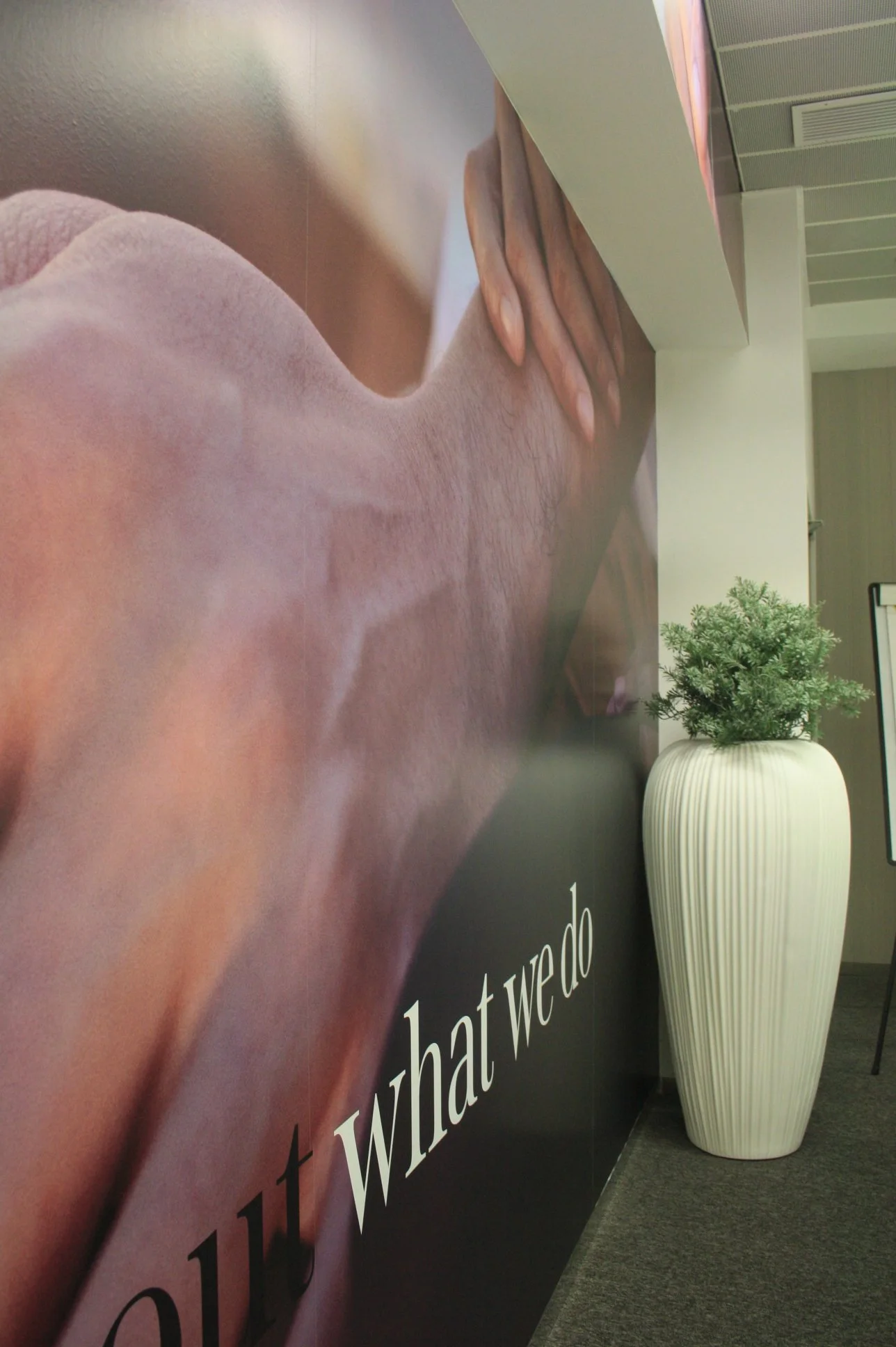 Decoração de parede com imagem de grande formato. Acessórios decorativos.