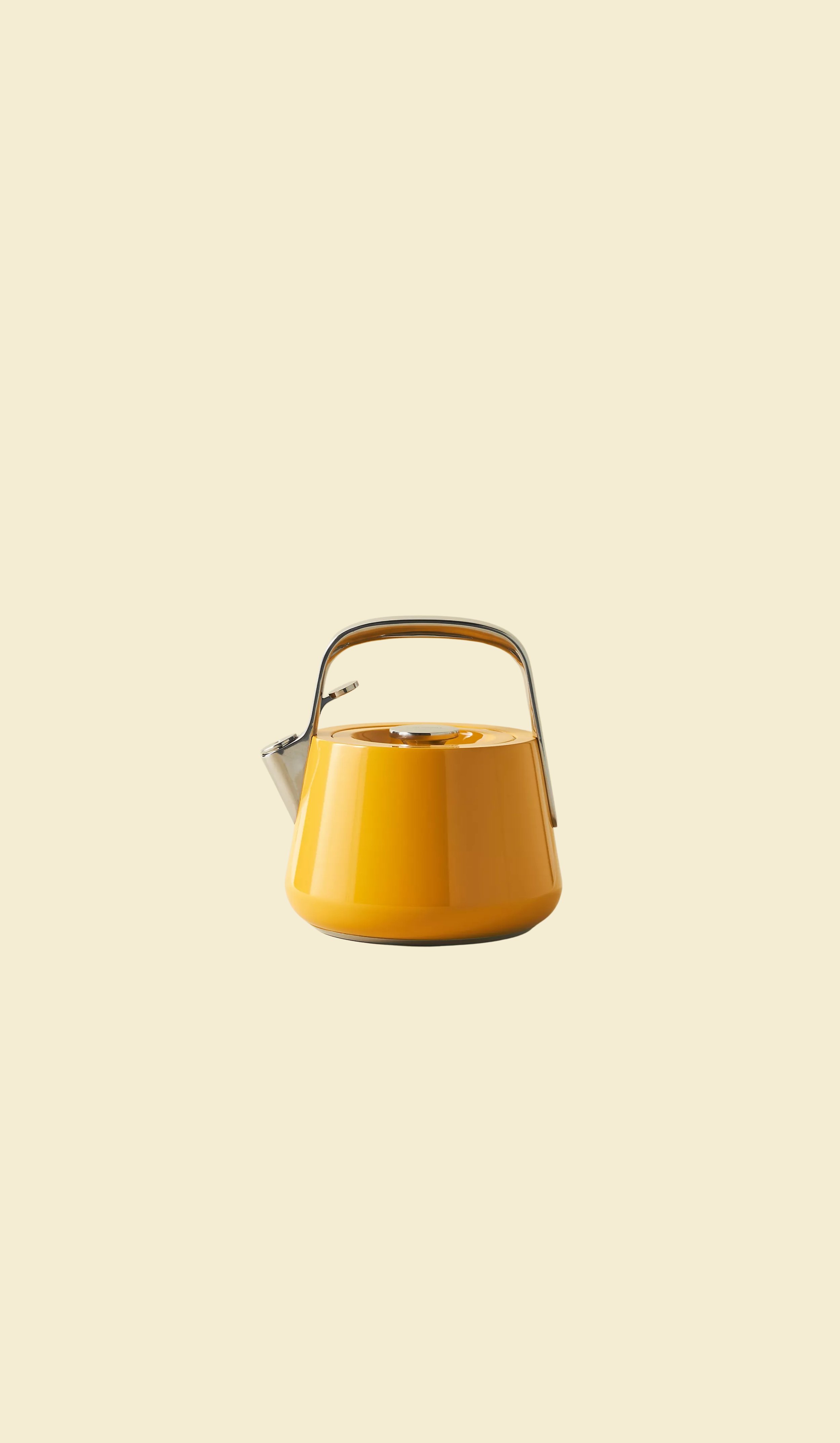 Caraway Tea Kettle