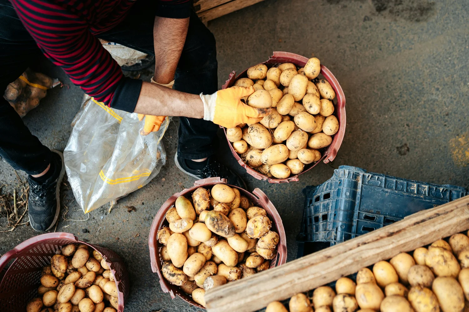 Why Starches Are A Gluten-Free Baking Secret