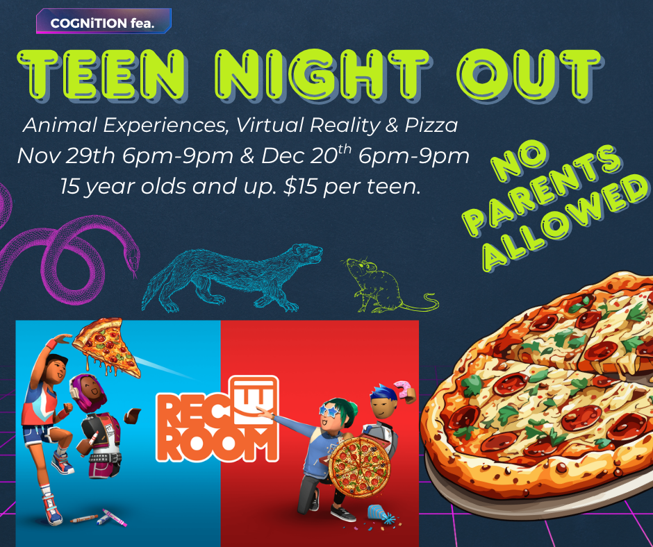 Teen Virtual Reality Night 