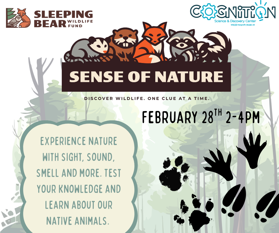 Sense of Nature Program with Sleeping Bear Wildlife Fund