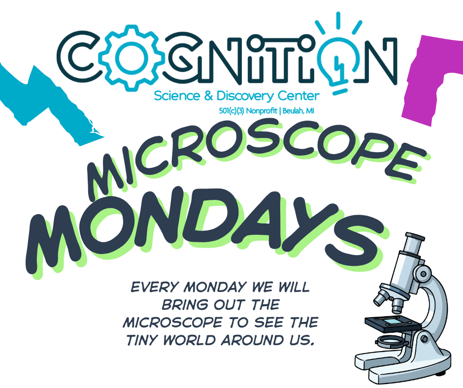 Microscope Mondays 
