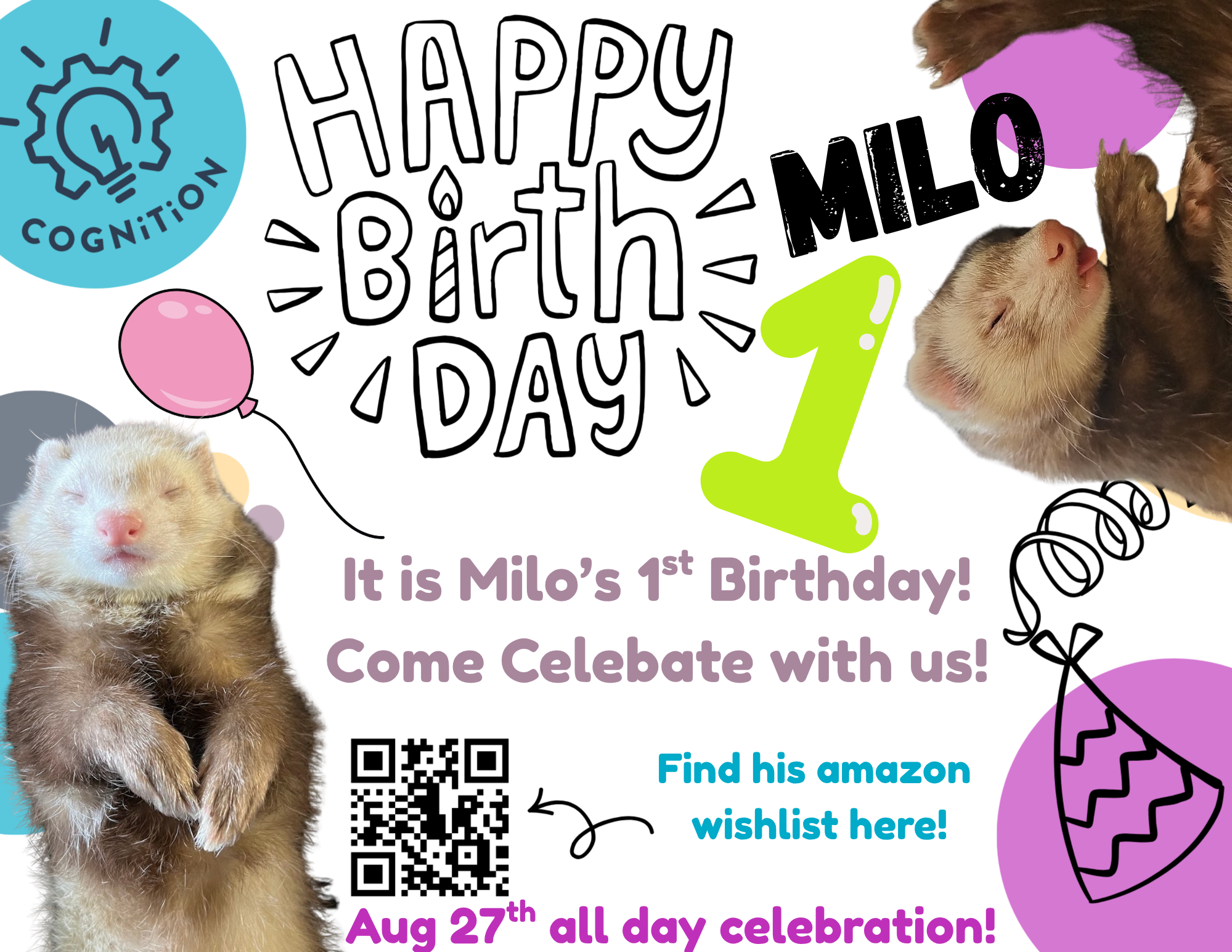 Milo's First Birthday Party 