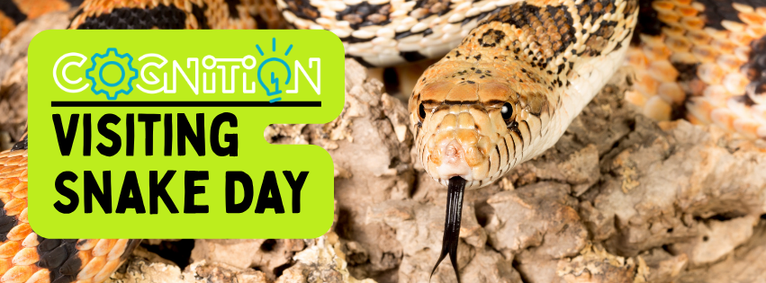 Visiting Snake Day