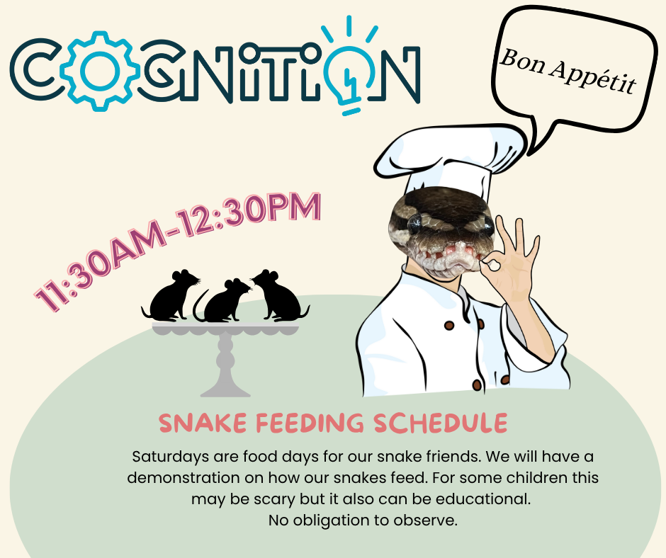 Snake Feeding Day — COGNiTiON Science & Discovery Center | Beulah, MI