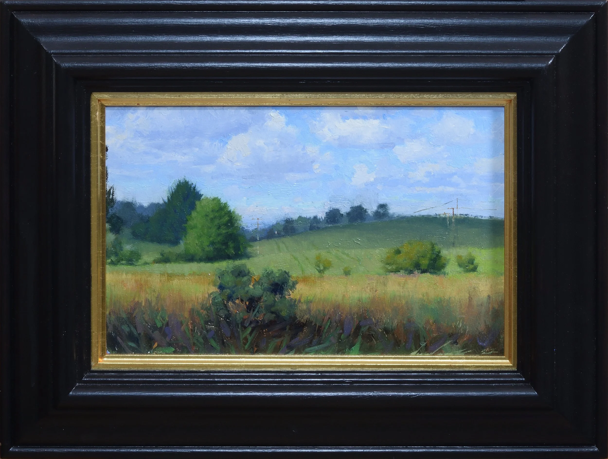 fields near chryston framed.jpg