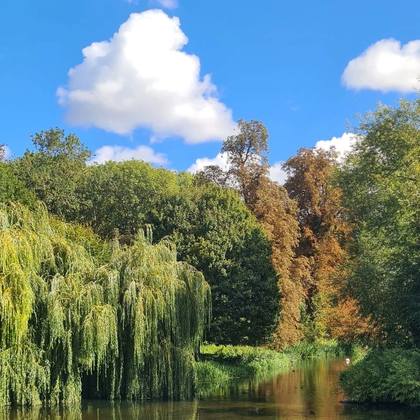 a dreamy week in camb ☁️