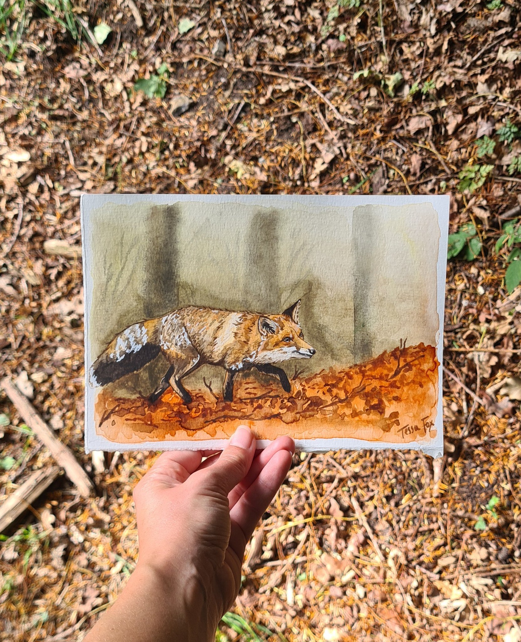 Last chance to preorder purchase your British Wildlife calendar is this Sunday 🦊 You won't be able to purchase them after this date!! Website shop in bio or pop me a message to get yours 💌 Thank you for all the love so far x

 #britishwildlife #bri