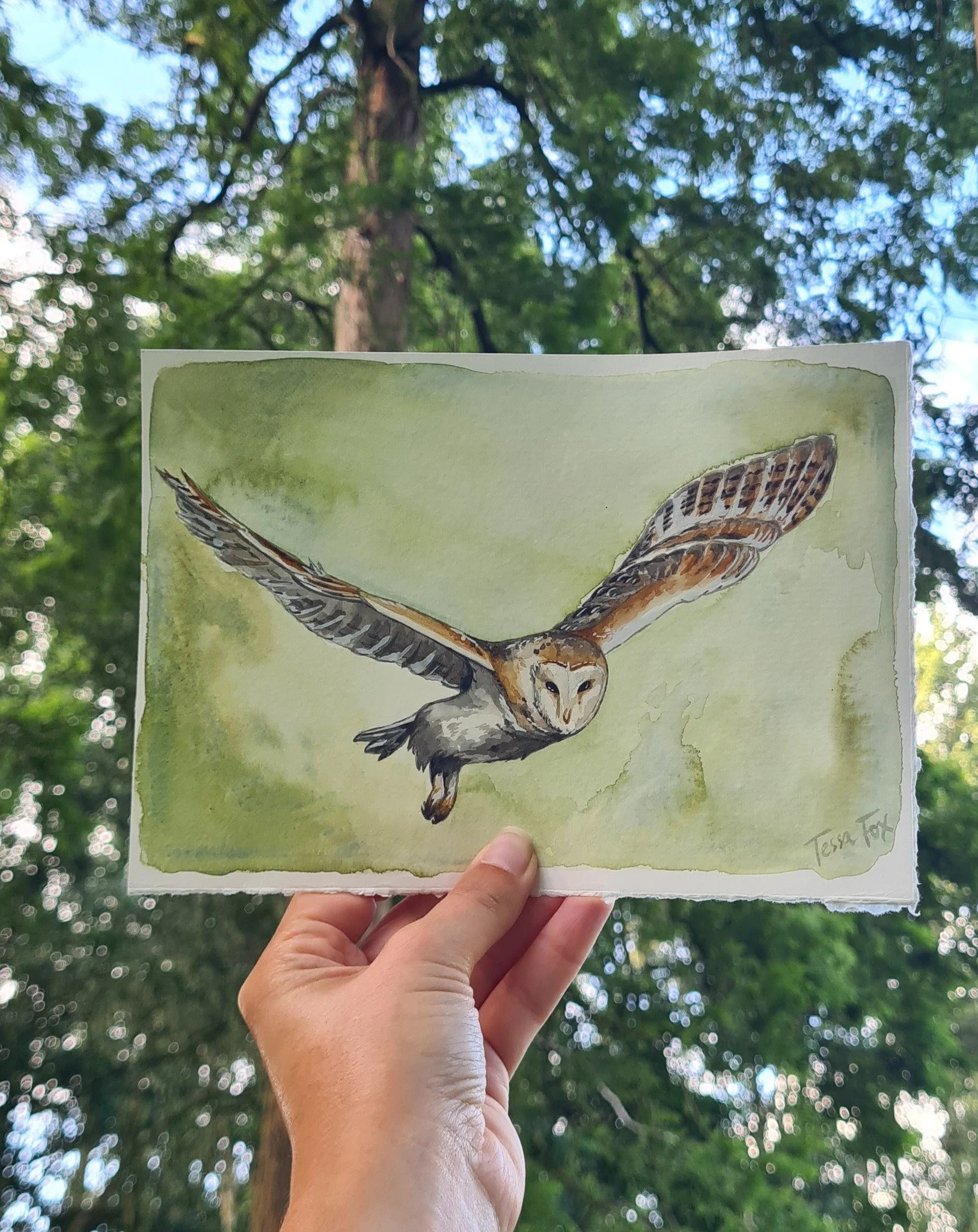 February! A new month, and a calendar view 🦉

 #owlsofinstagram #watercolourartist #2026calendardesign