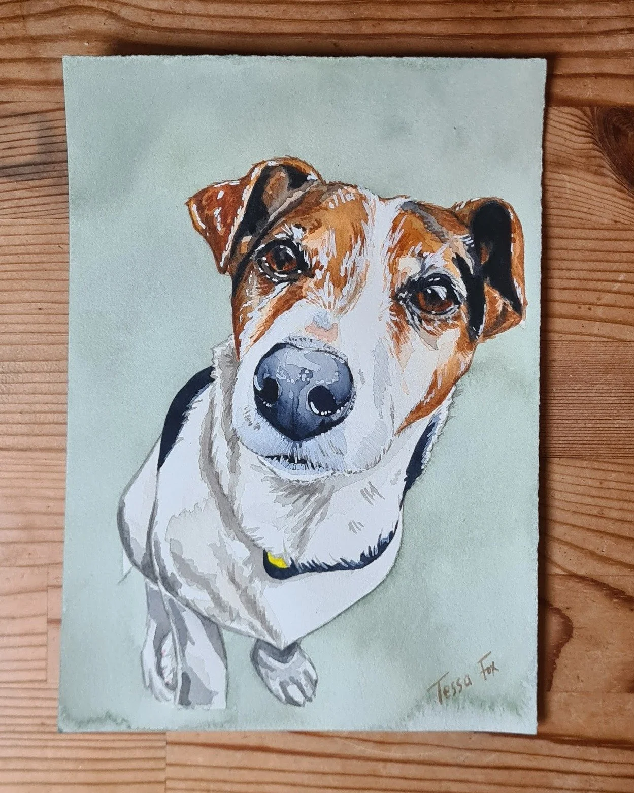Watercolour pet portrait for Jordan 🐾

 #jackrussell #jackrussellterrier #dog #dogpainting #petportraitartist #petportraitcommission #dogportrait #watercolour #watercolourartist #windsorandnewton