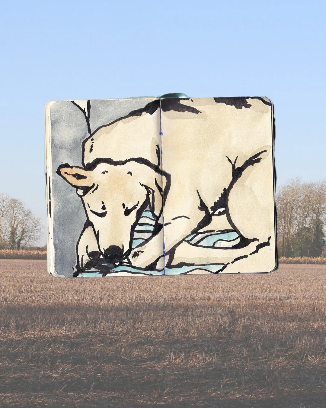 still catching up from the clocks changing 😴

 #sketchbook #labrador #illustration #dogillustration #dogs #watercolour #sketchbookdrawing