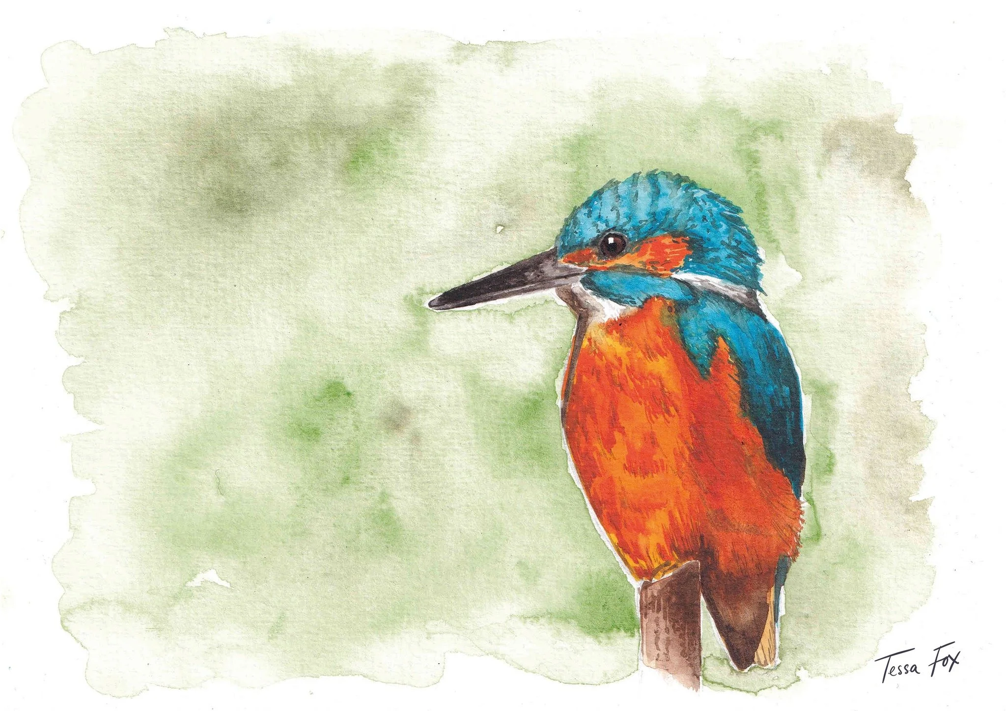 Somehow the days have rolled by and we've made it to June! A new calendar month 🐟

 #calendar #kingfisher #kingfisherpainting #wildlifeillustration #watercolourpainting