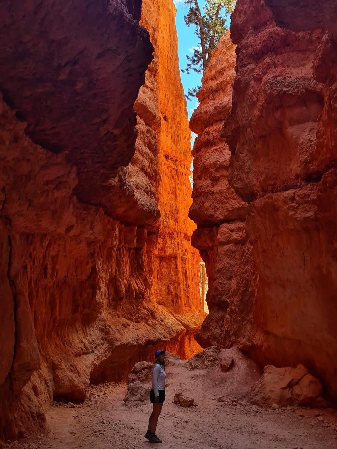 bryce and arches and red red rocks 

#brycecanyonnationalpark #archesnationalpark #hiking #utah