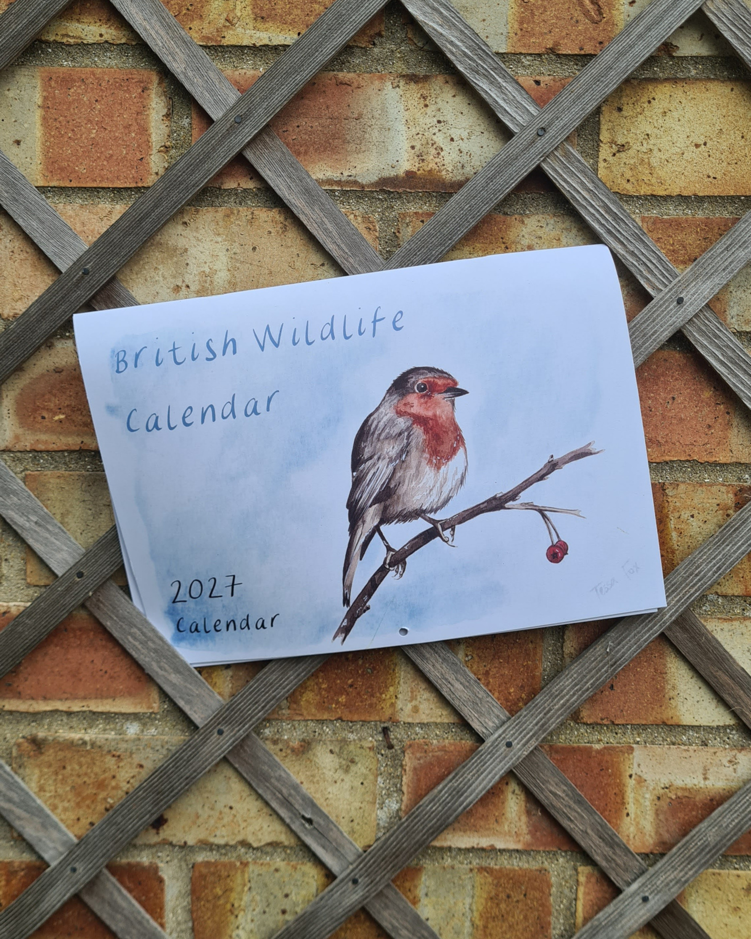 2027 British Wildlife Calendar - PREORDER