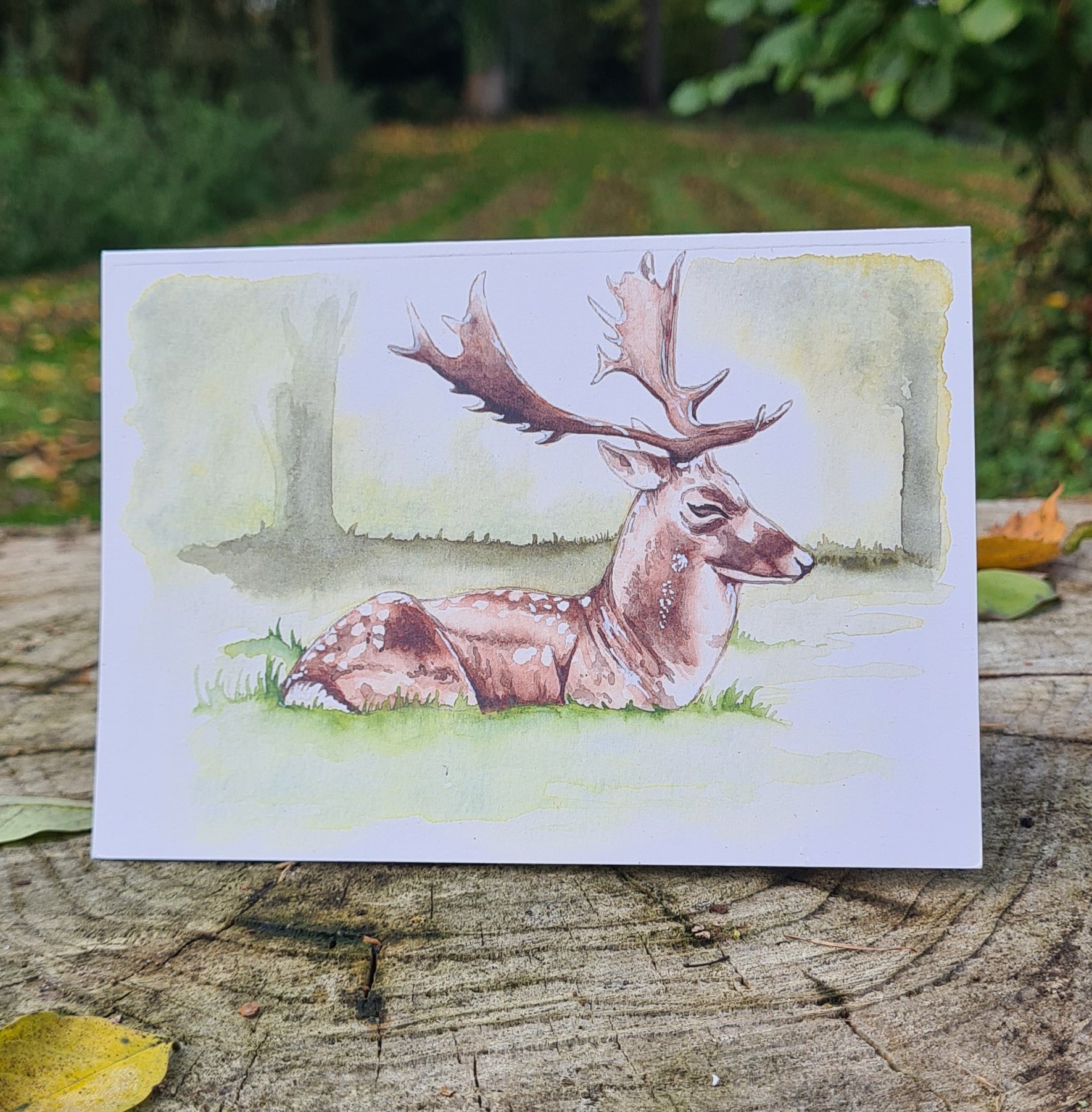 Watercolour Deer Greetings Card