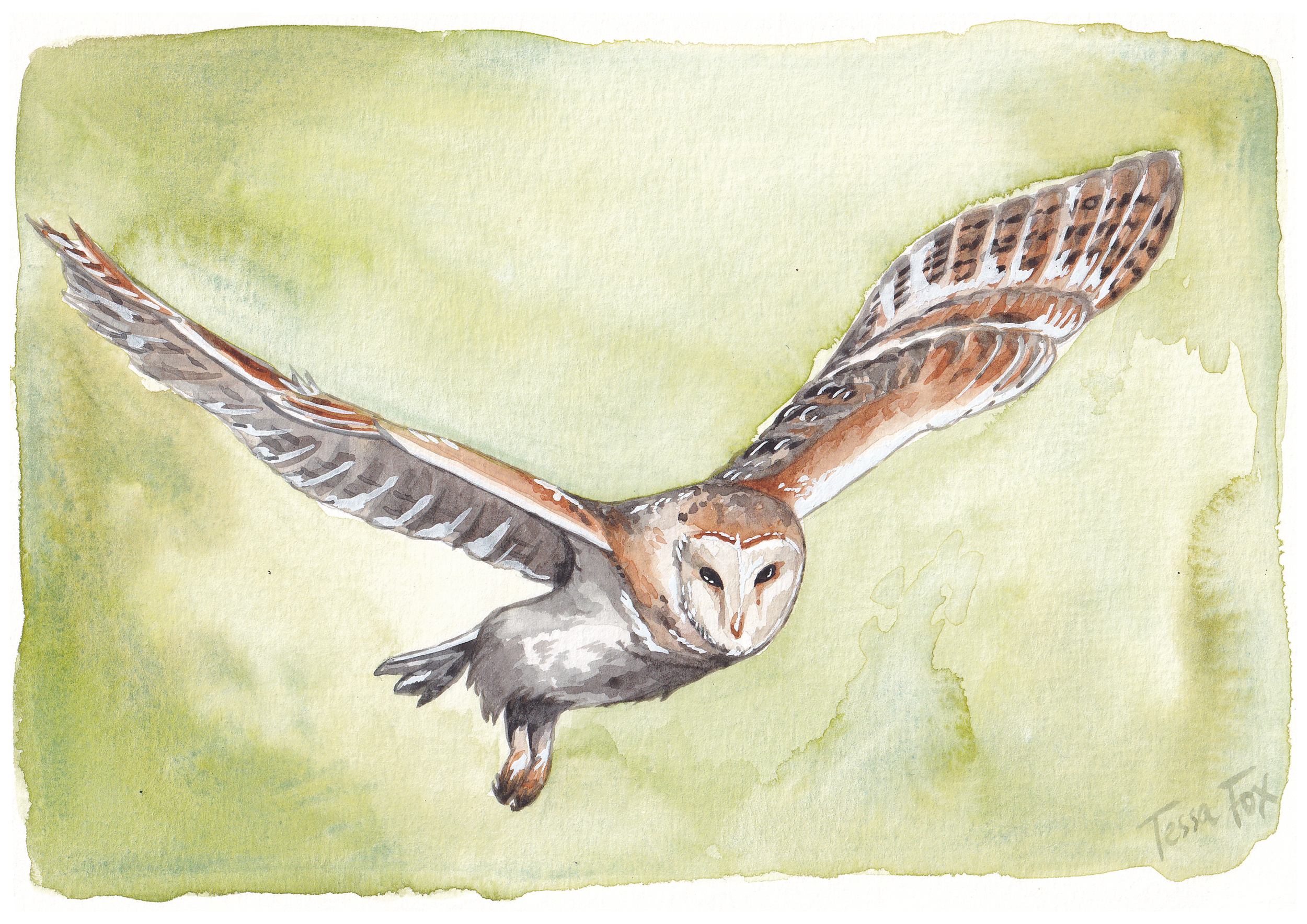 British Wildlife Calendar, 2025