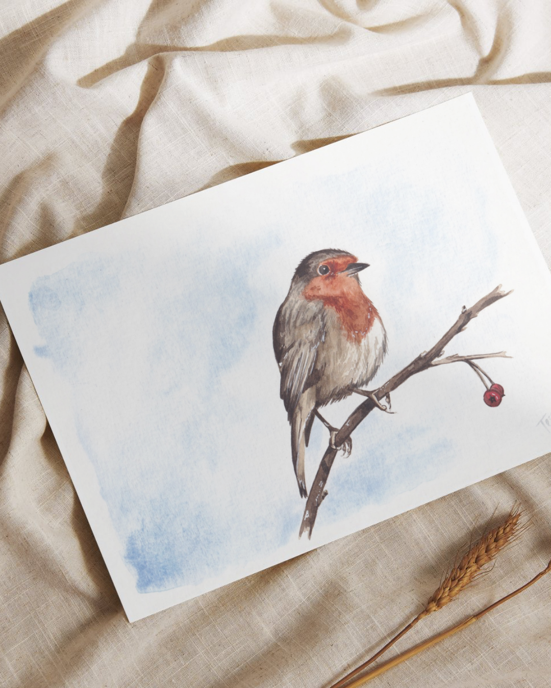 Robin Watercolour Print - British Wildlife Series